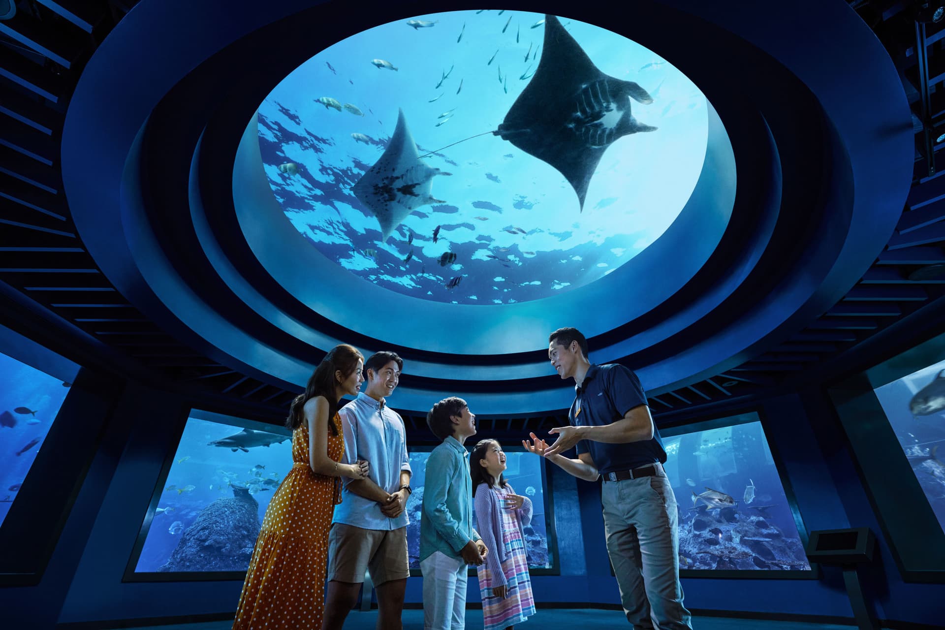 COMBO: Singapore Cable Car + Singapore Oceanarium + Albatross Hop-On Hop-Off Speedboat Tickets - main image