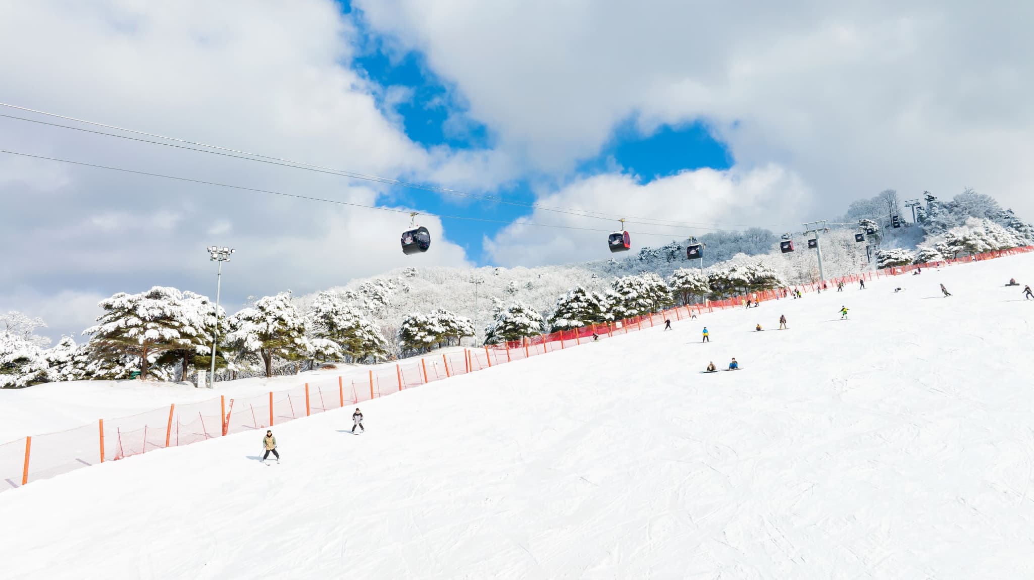 Vivaldi Park Winter Ski and Eobi Ice Valley Day Tour from Seoul - image 3