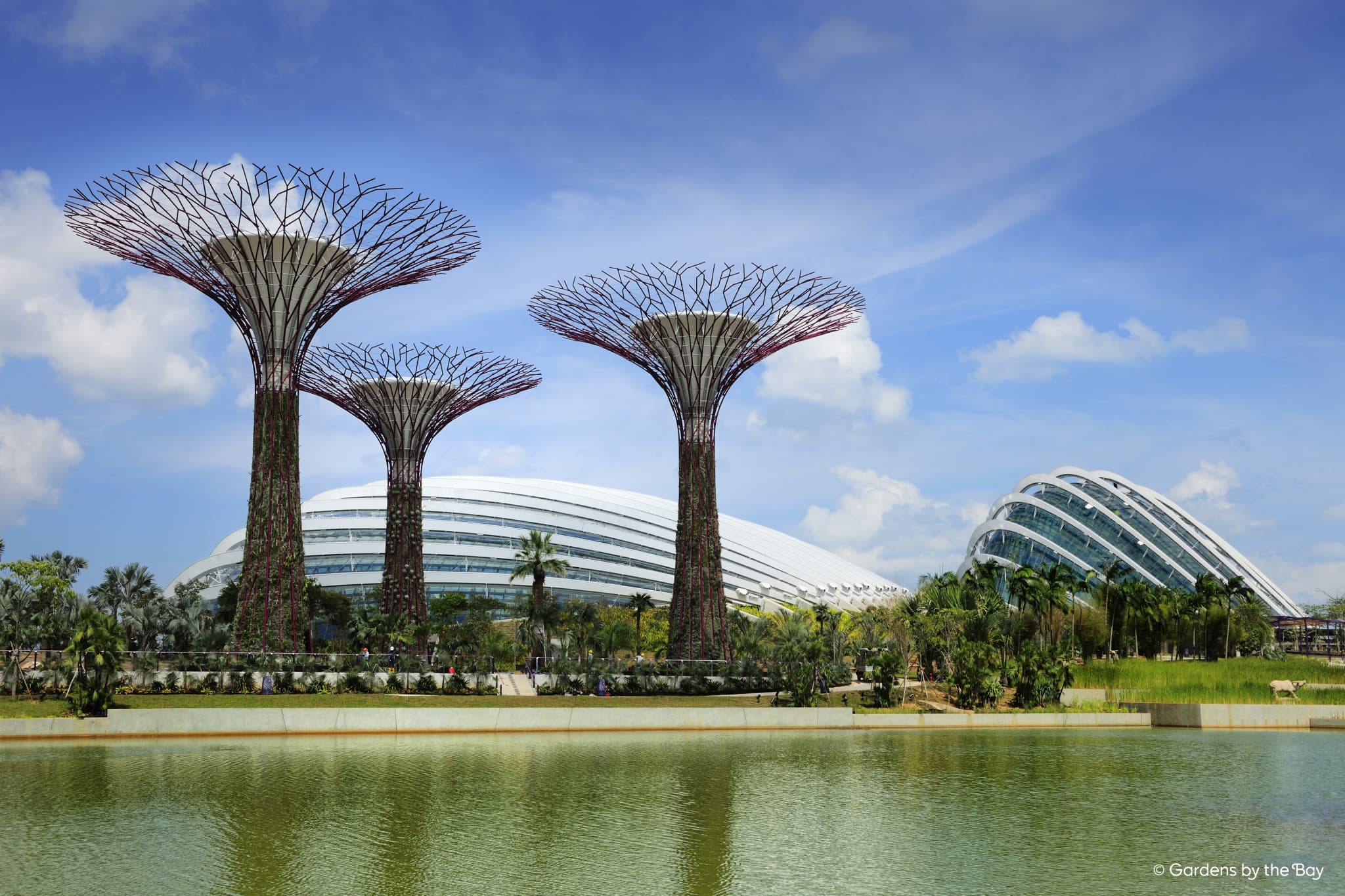 COMBO: Singapore Flyer + Gardens by the Bay Ticket - image 6
