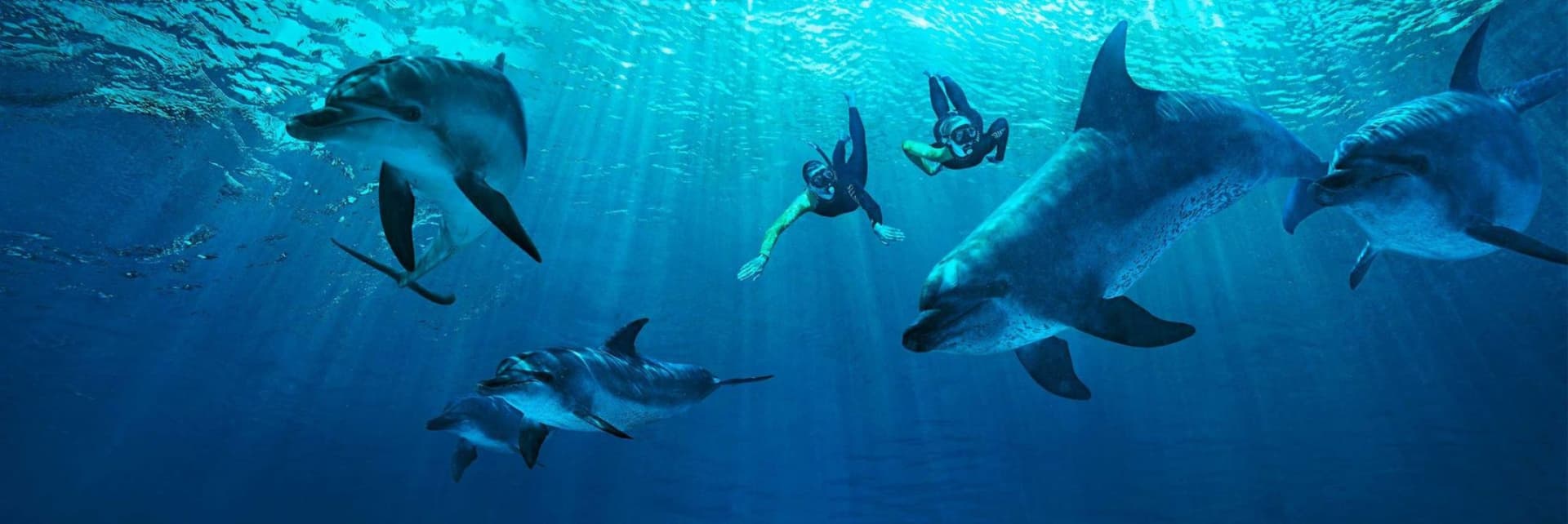 Atlantis Dubai Ticket - image 23