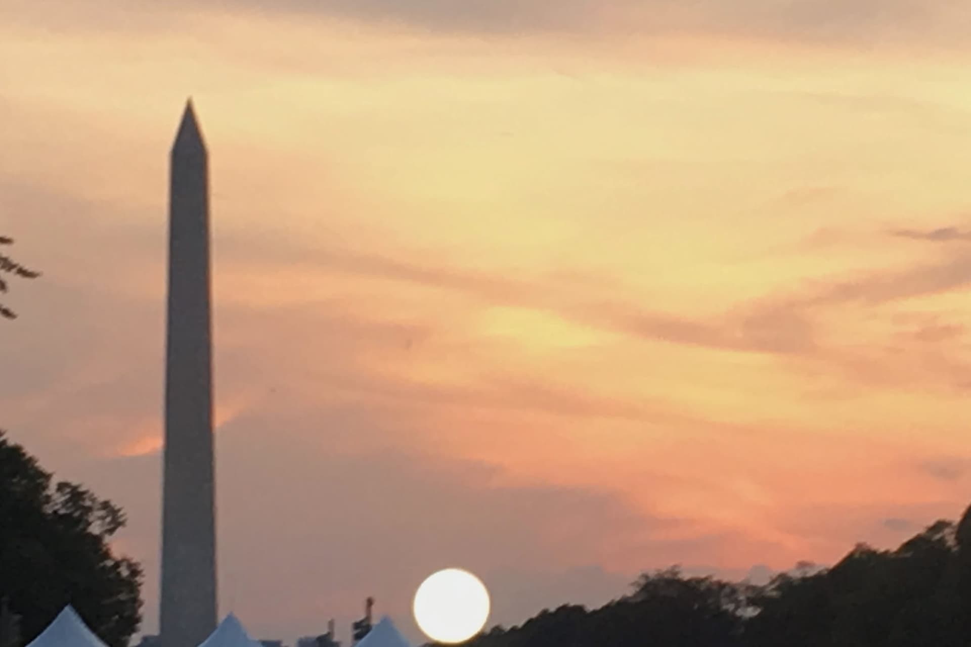 Entrada al Monumento a Washington + tour guiado opcional - imagen 5