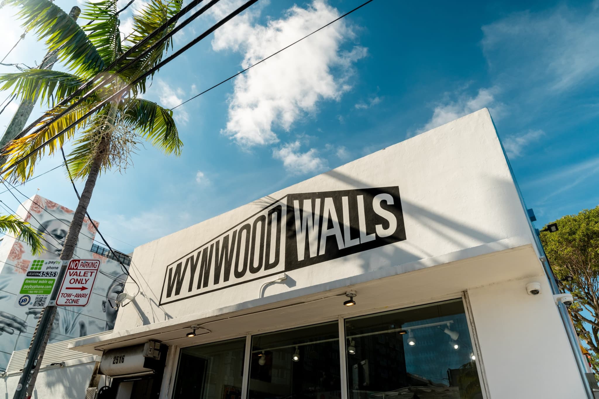 Miami: Wynwood Walls Skip-the-Line Ticket - image 5