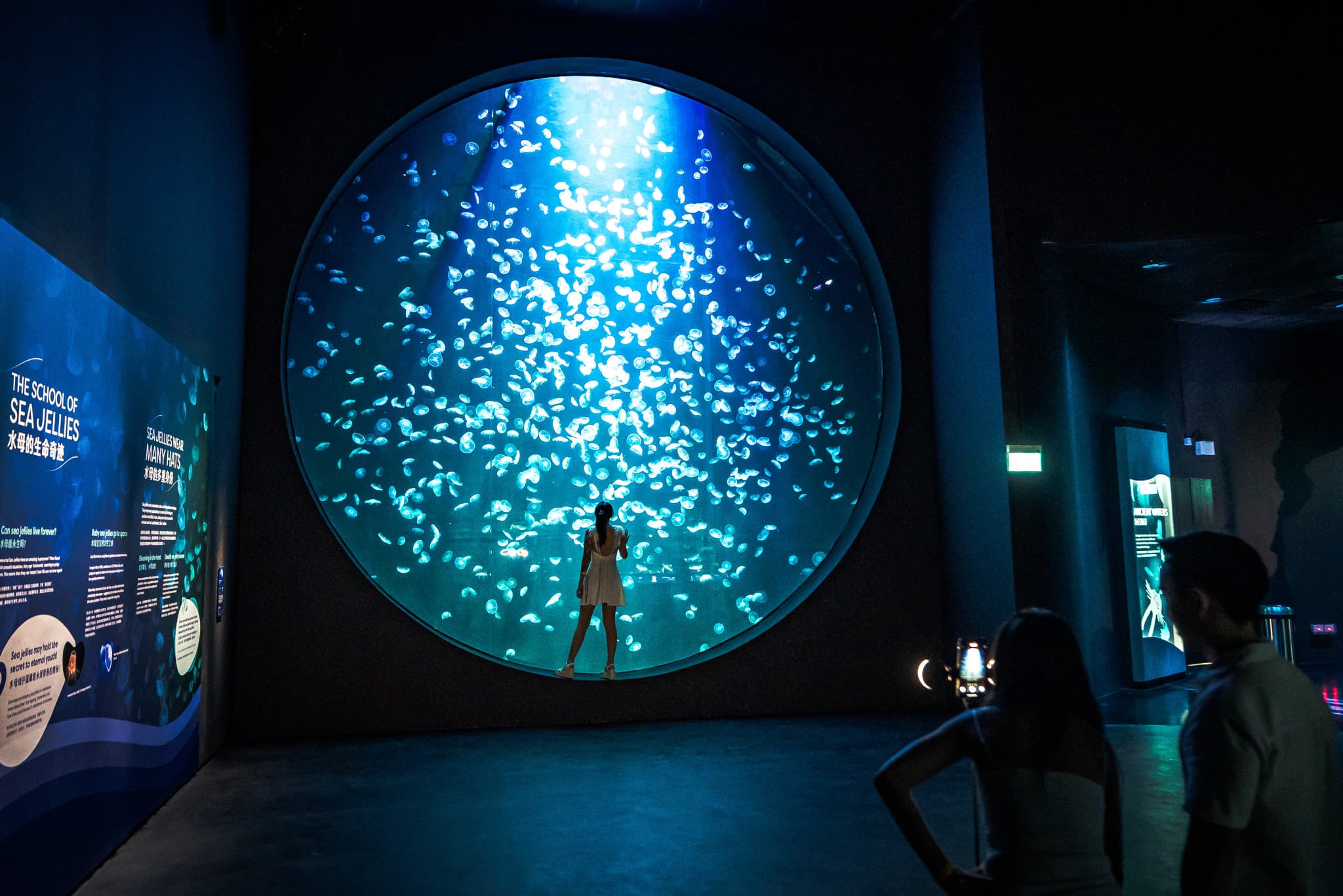 Singapore Oceanarium Ticket - image 10