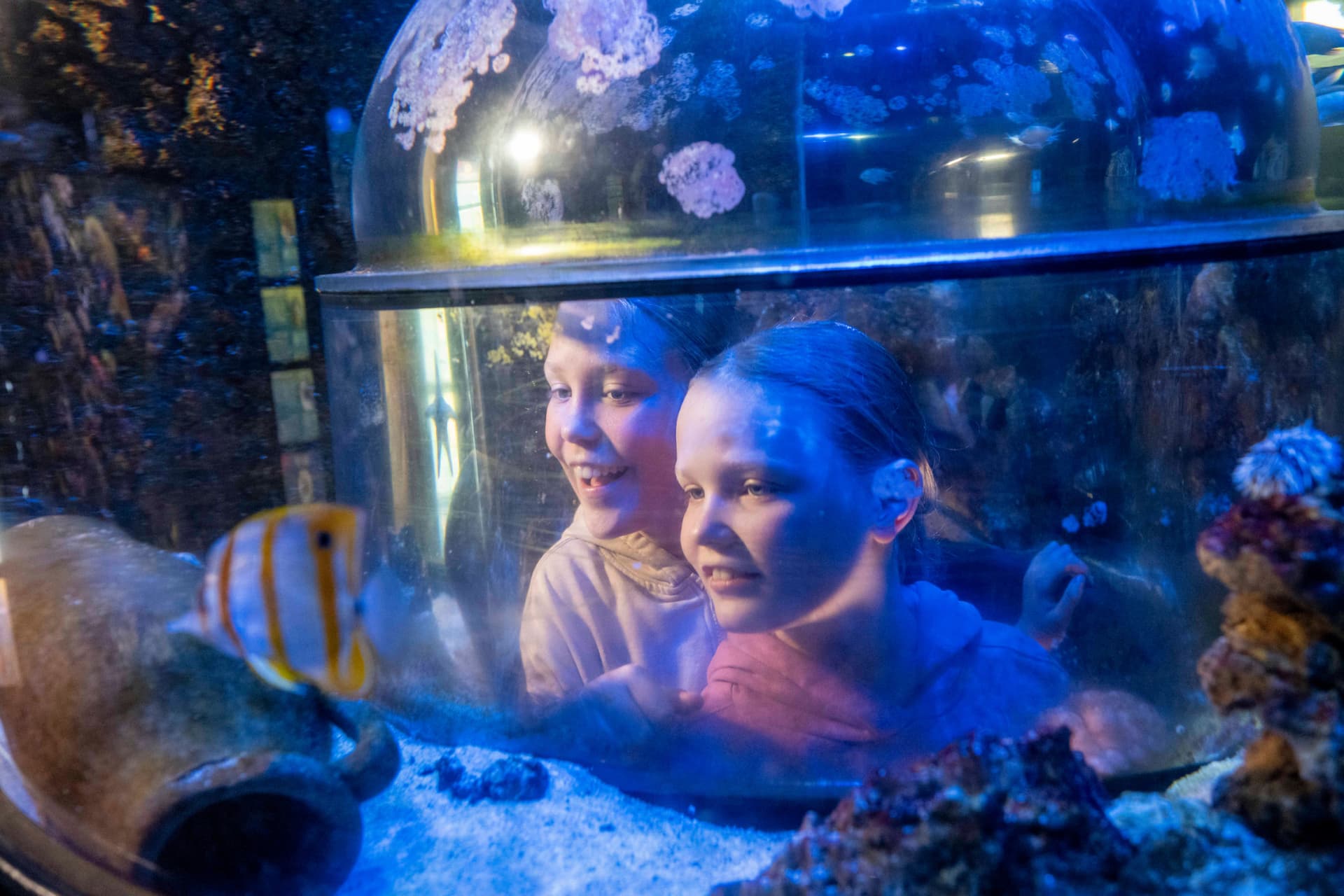 SEA LIFE Munich Aquarium Ticket - image 3