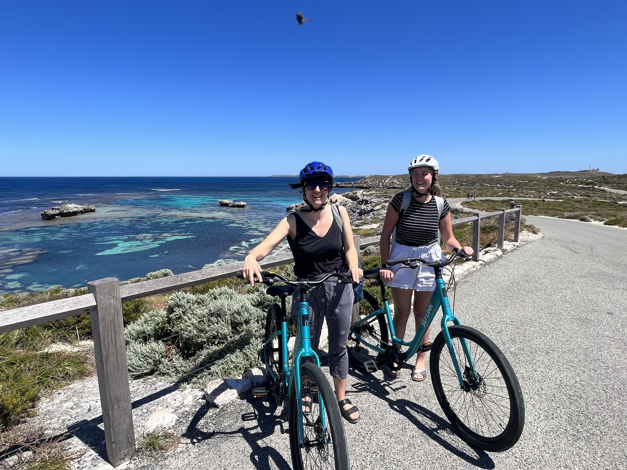 Round Trip SeaLink Ferry Transfer to Rottnest Island with Bike Hire - image 5
