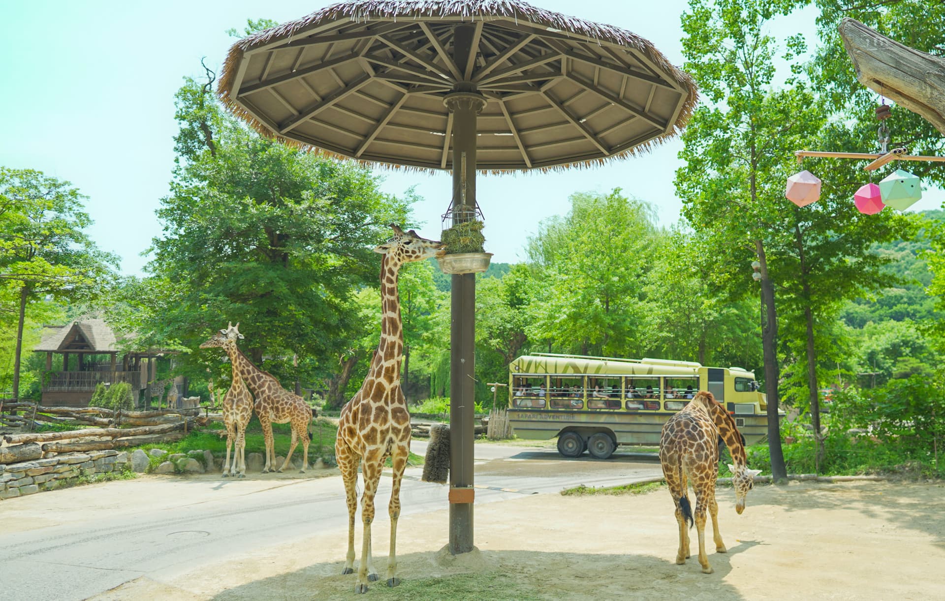 Everland Theme Park con traslados de ida y vuelta desde Seúl - imagen 16