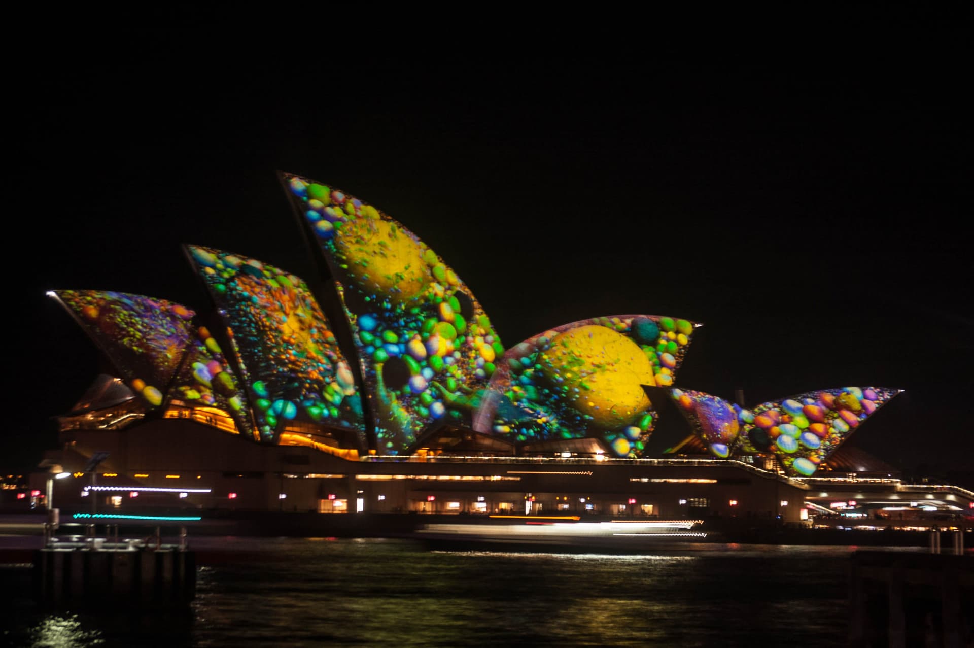 Vivid Festival of Light and Sound Cruise with Buffet Dinner aboard Sydney Princess Cruises - image 8