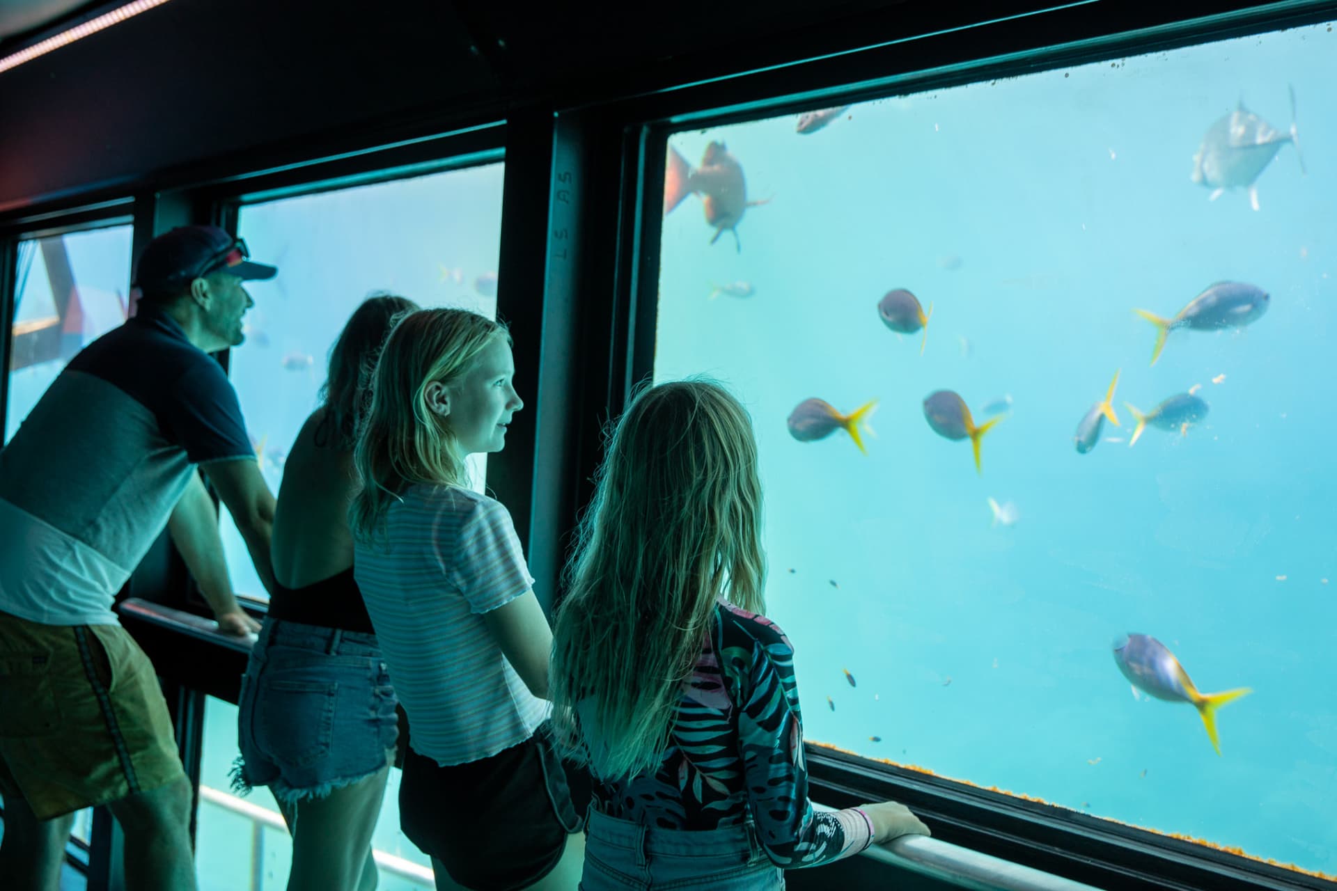 Tour Reef Magic Pontoon desde Cairns - imagen 3