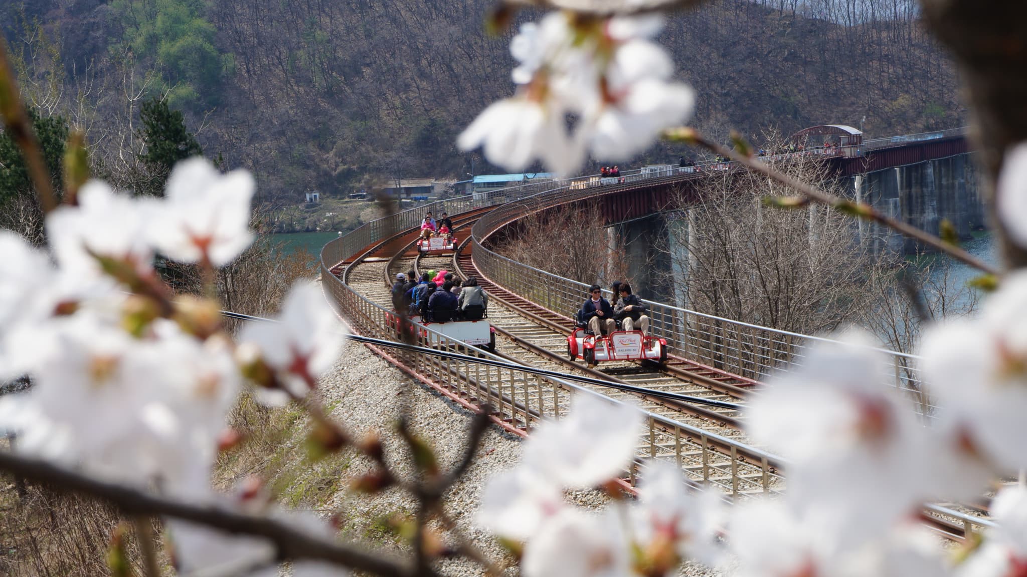 Nami Island, Petite France, Italian Village, and Gangchon Rail Bike Tour from Seoul - main image