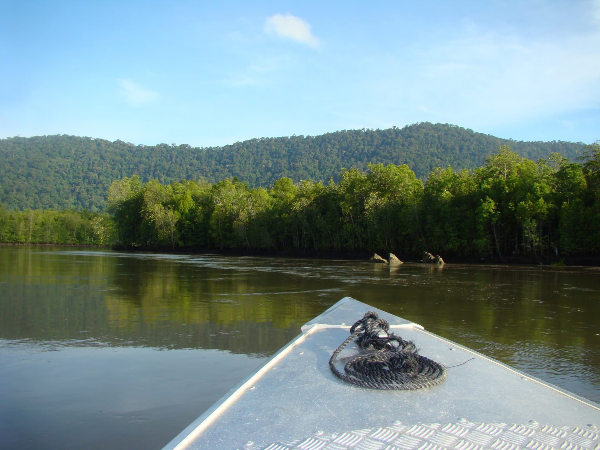 Crucero por el manglar de Langkawi y snorkel - imagen principal