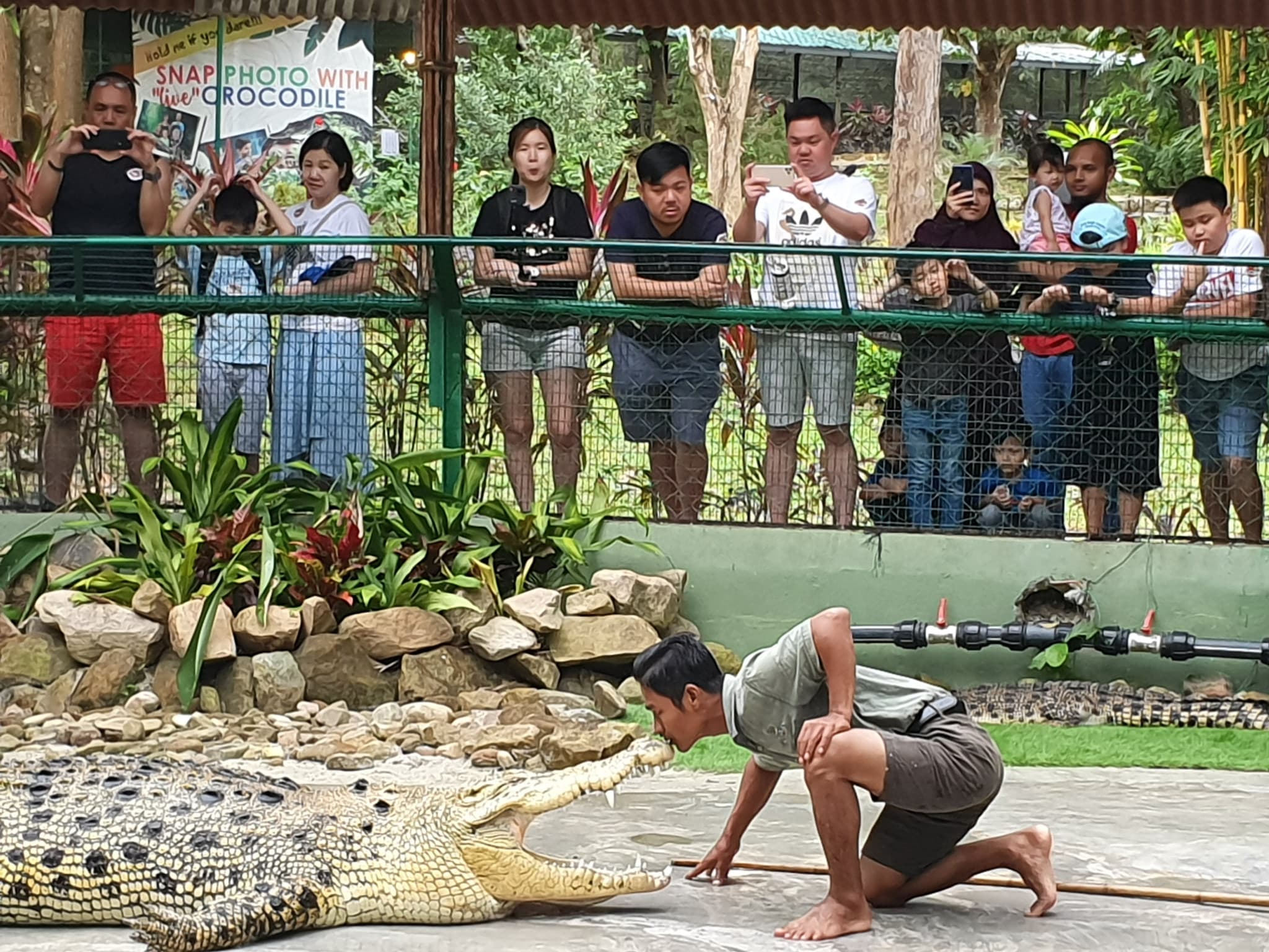 Crocodile Adventureland Langkawi - image 5