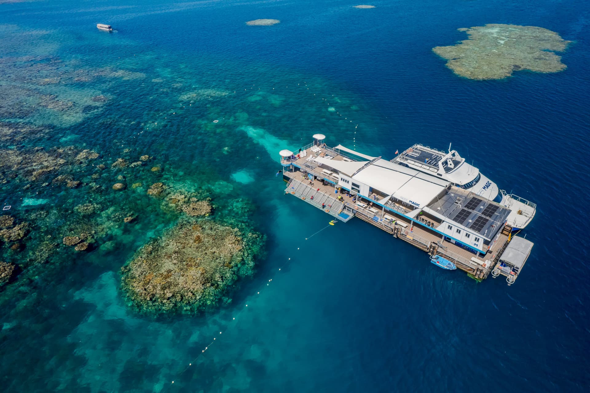 Tour Reef Magic Pontoon desde Cairns - imagen 9
