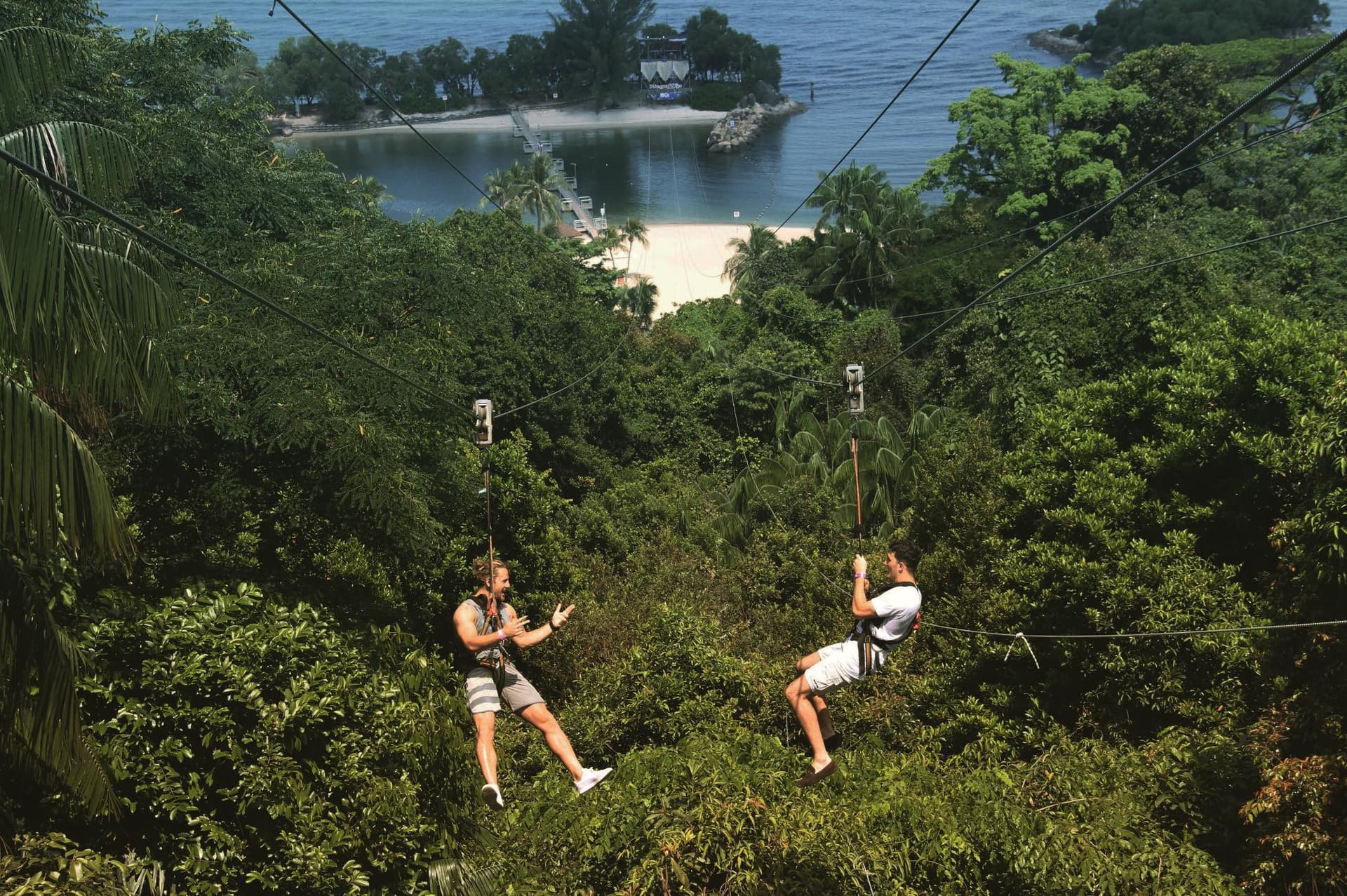 COMBO: Singapore Cable Car + MegaZip at Mega Adventure Park - image 4