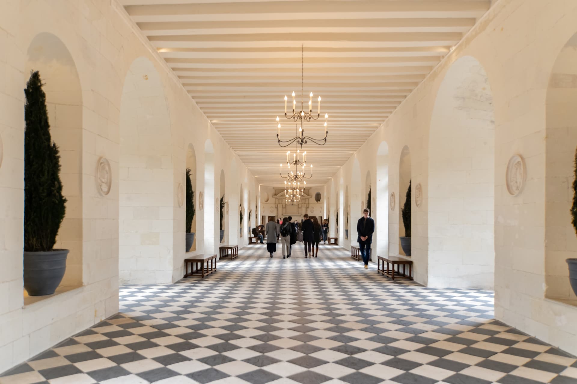 Loire Valley Tour from Paris: Chambord, Chenonceau, and Cheverny Castles - imagen 17