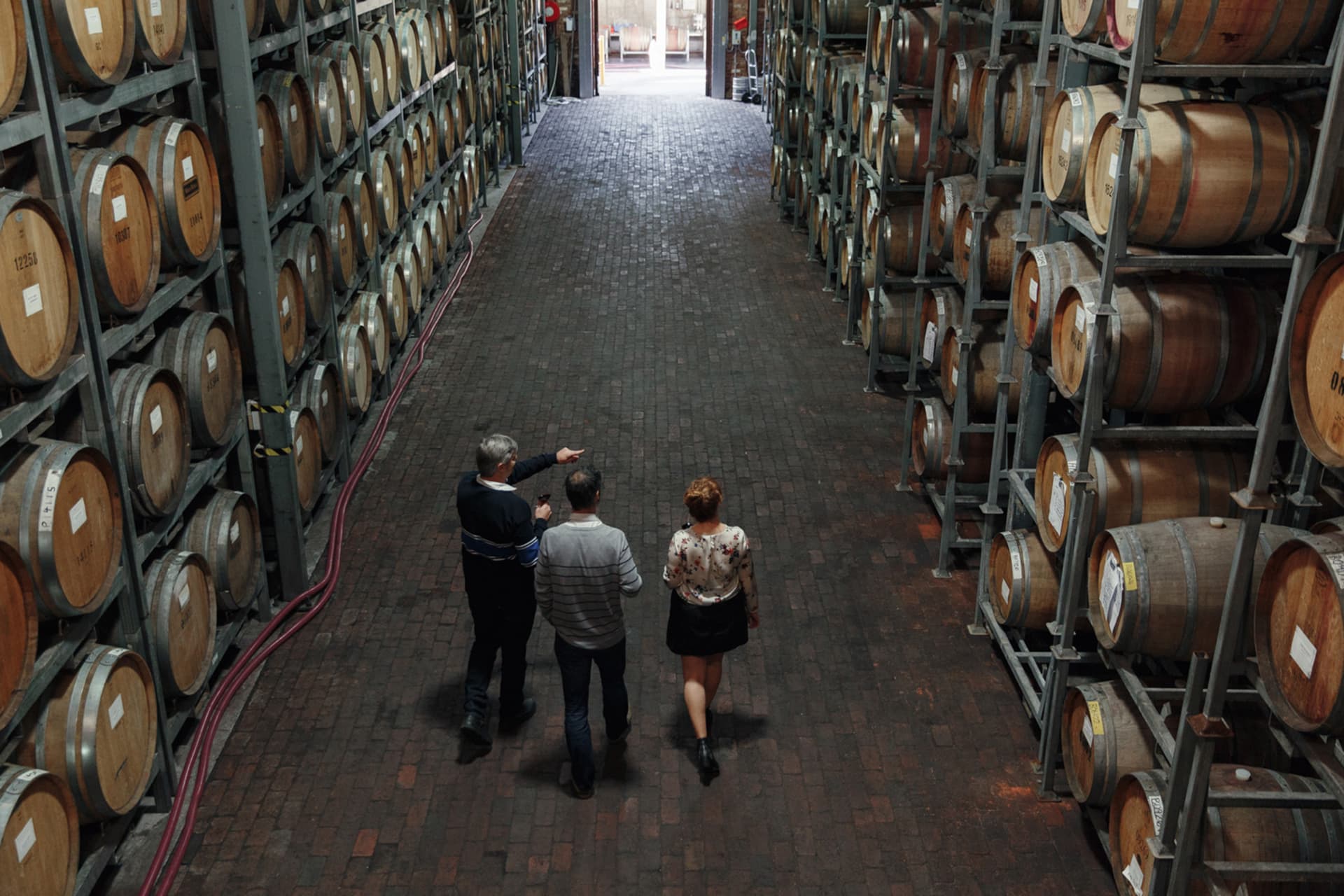 McLaren Vale and d’Arenberg Cube Wine Tasting Tour - imagen 3