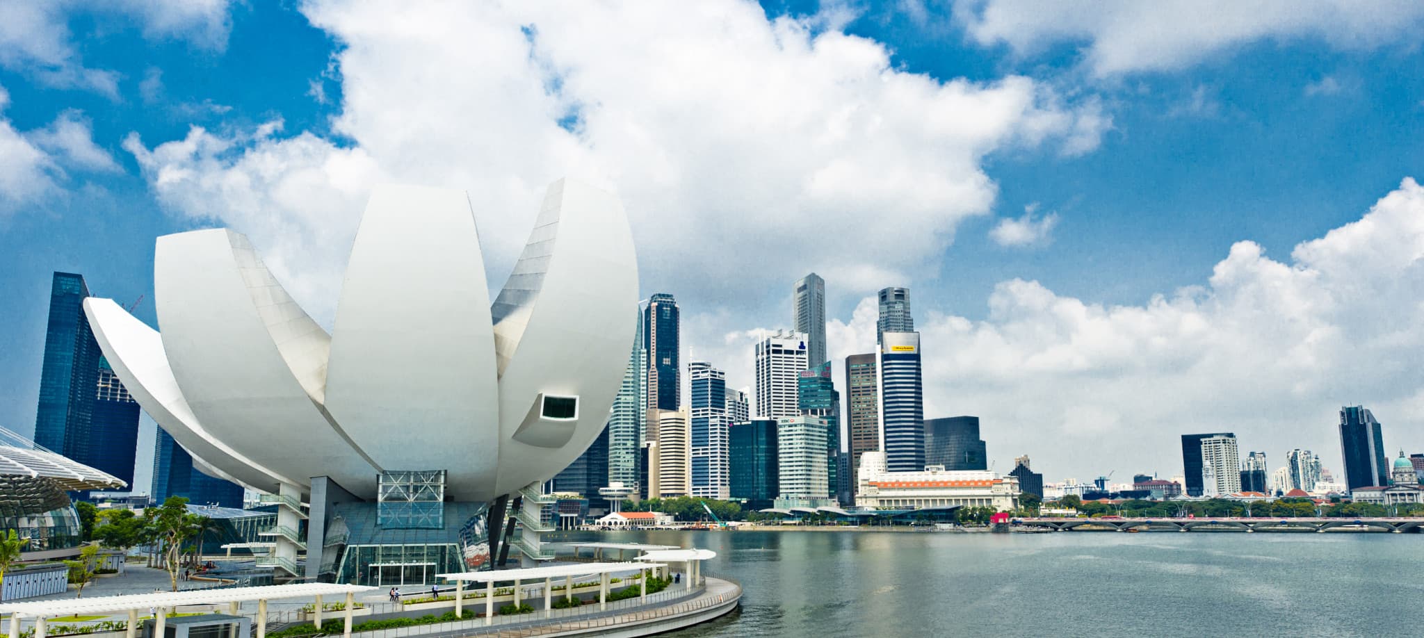 COMBO: Gardens by the Bay + ArtScience Museum Tickets - image 5