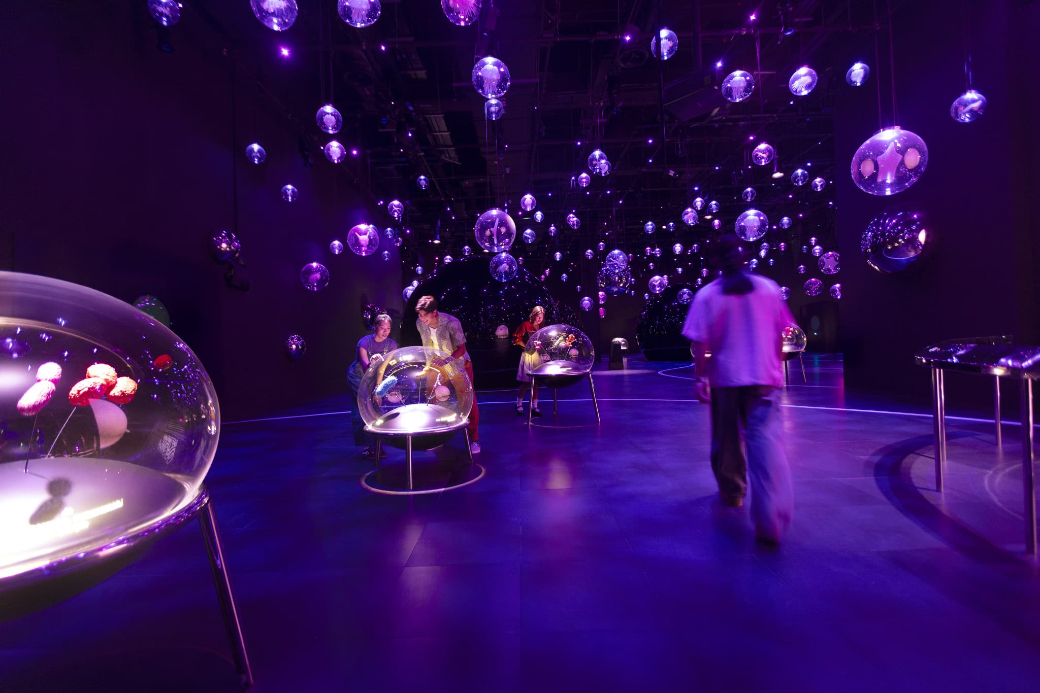 Exploria in Mandai Singapore Ticket - image 6