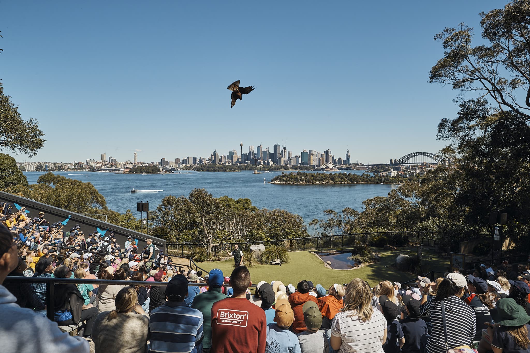 Go City Sydney Explorer Pass: Save up to 50% on Attractions - image 13