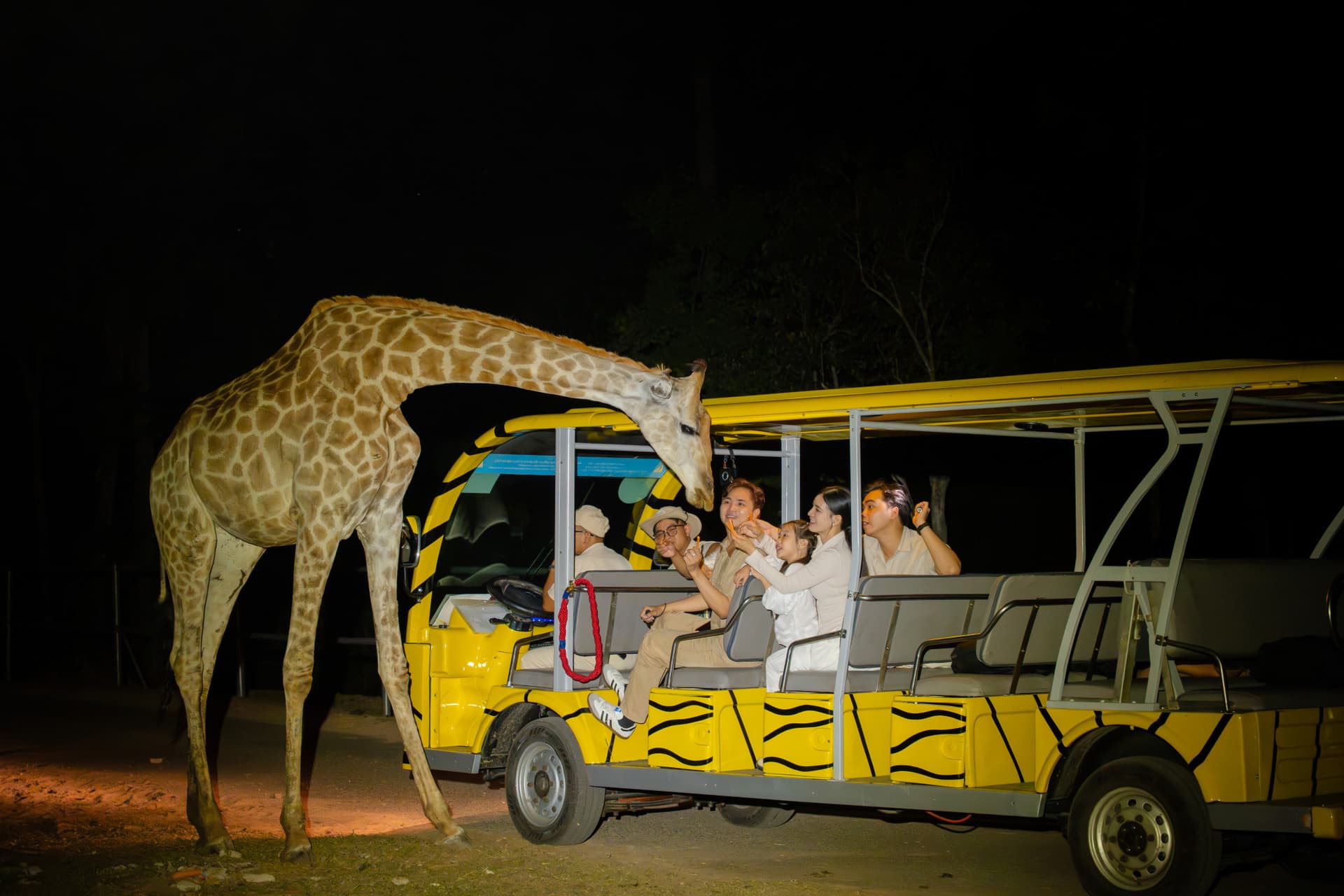 Entrada para Vinpearl Safari Phu Quoc - imagen 19