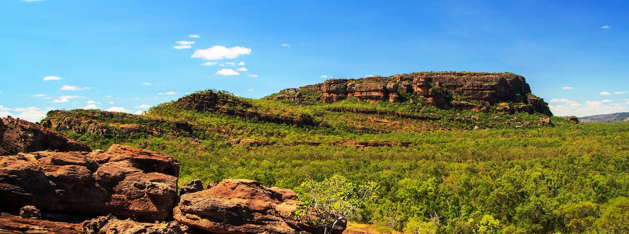 Kakadu National Park Tour from Darwin - image 2