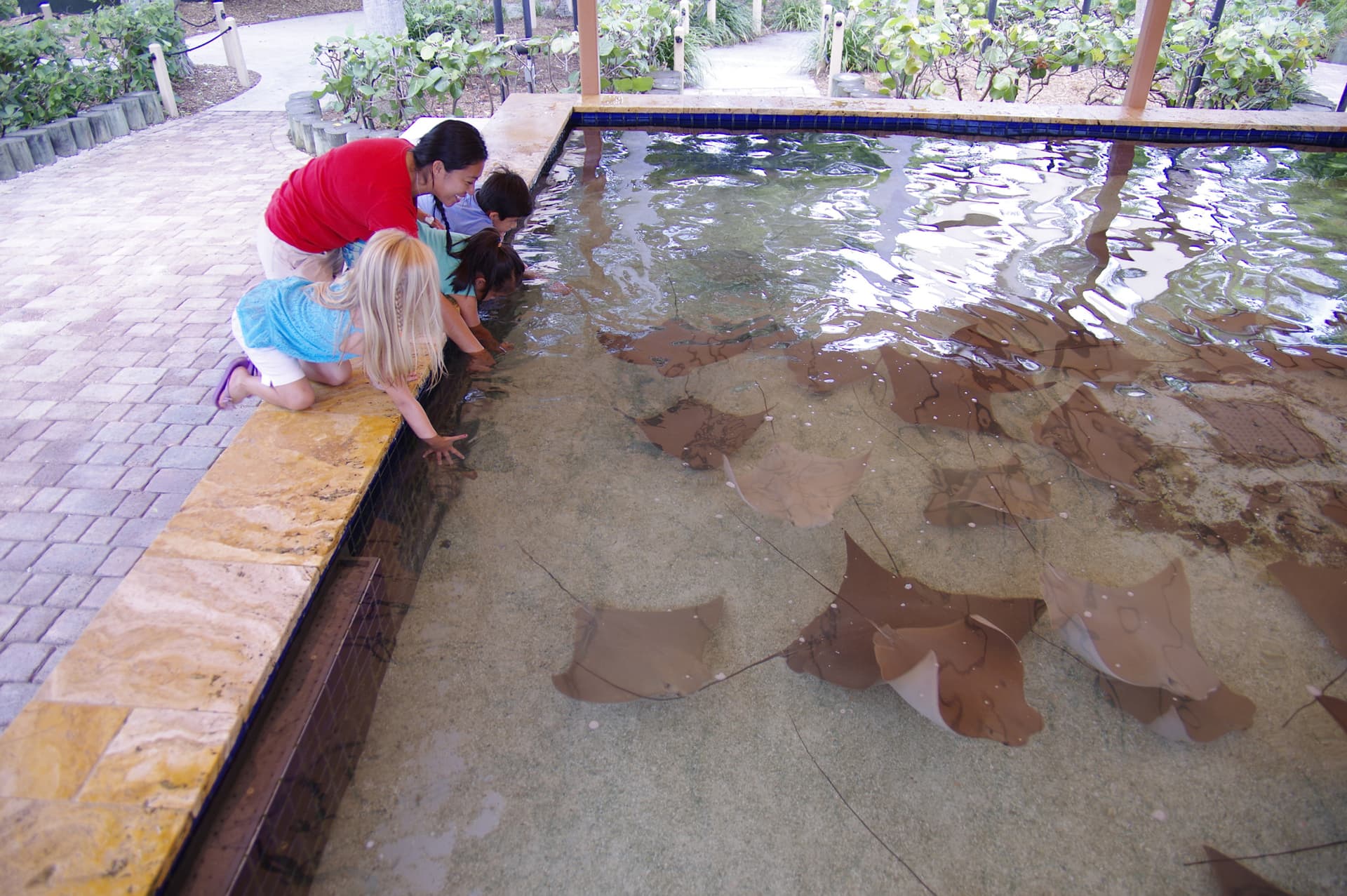 Go City Miami Explorer Pass: Ahorre hasta un 50% en atracciones - imagen 25