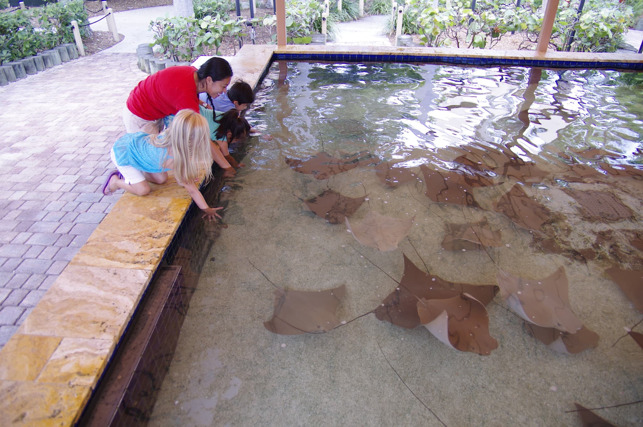 Go City Miami Explorer Pass: Save up to 50% on Attractions - image 25