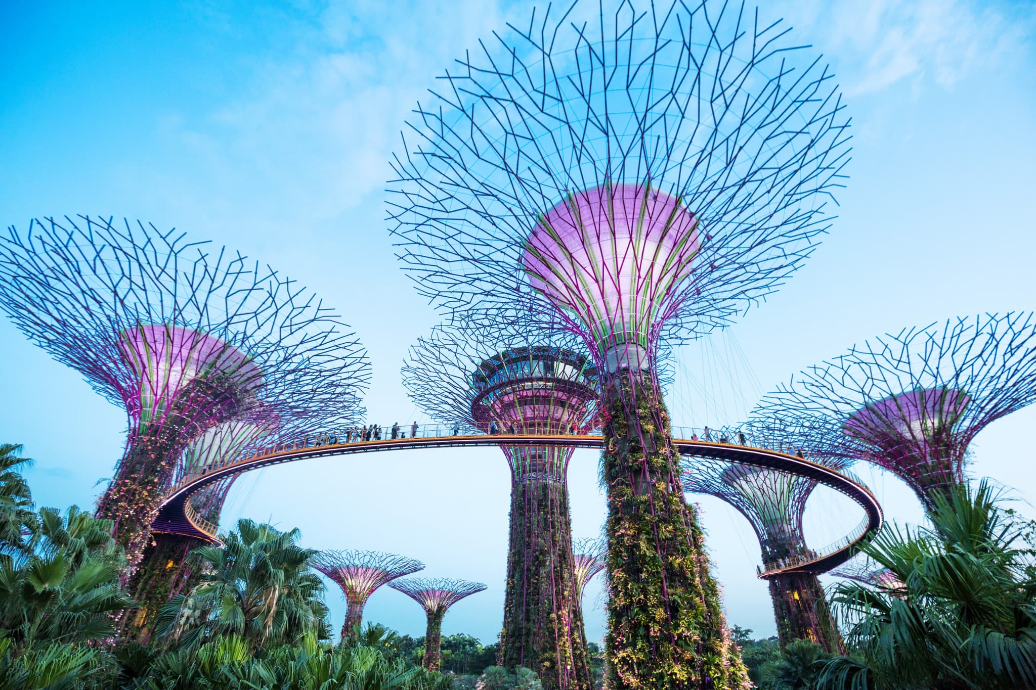 Go City Singapore Essentials Pass: 3 Attractions - image 5