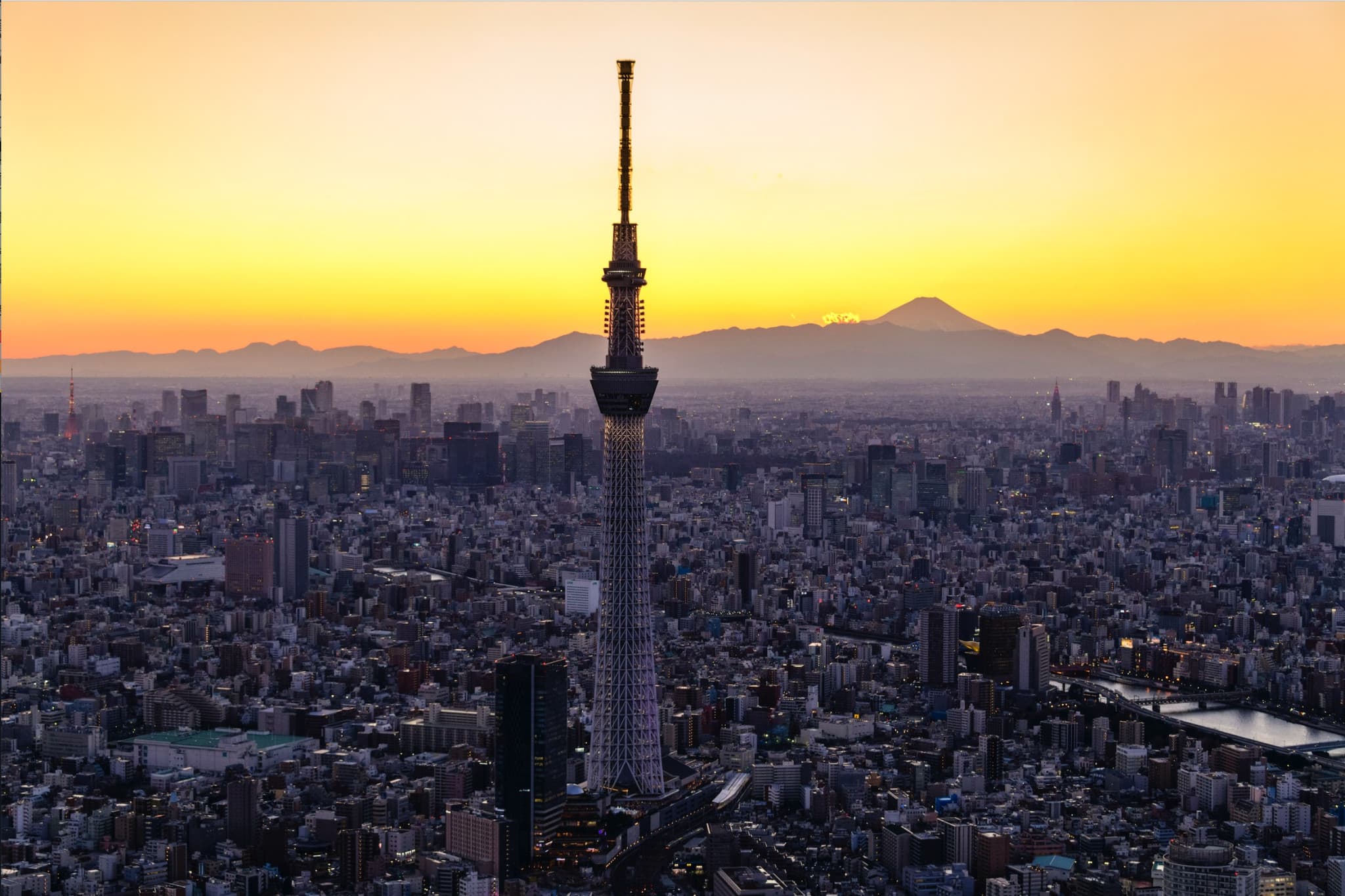 COMBO: Tokyo Skytree + Sumida Aquarium - main image