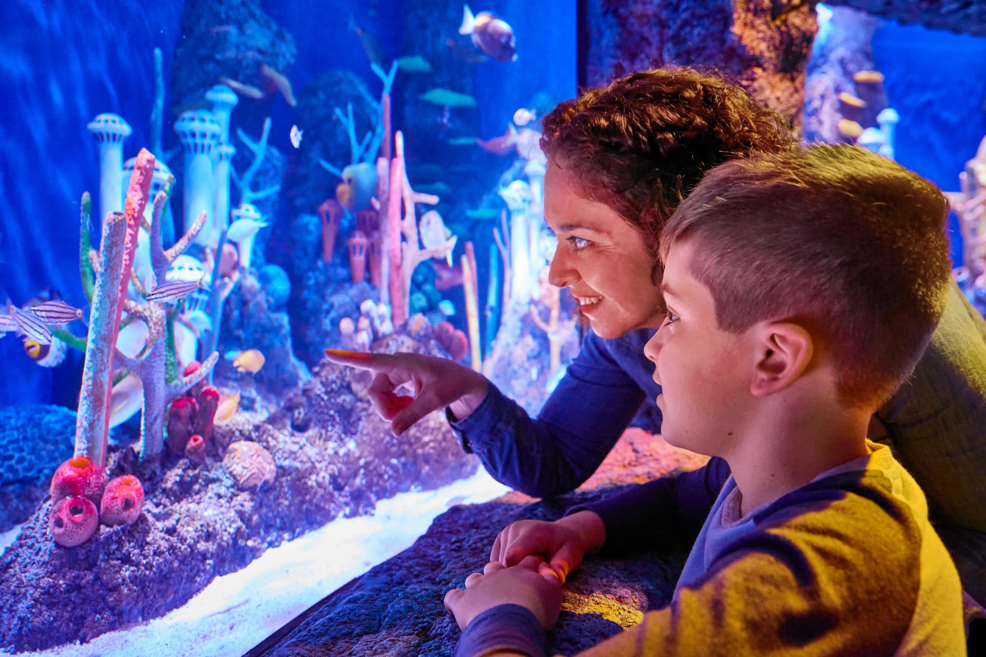 SEA LIFE New Jersey Aquarium Ticket - imagen 5
