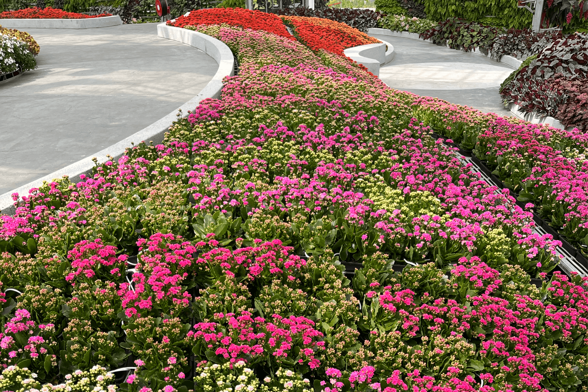 Eufloria Gardens & Sculpture Park in Genting Ticket - image 5