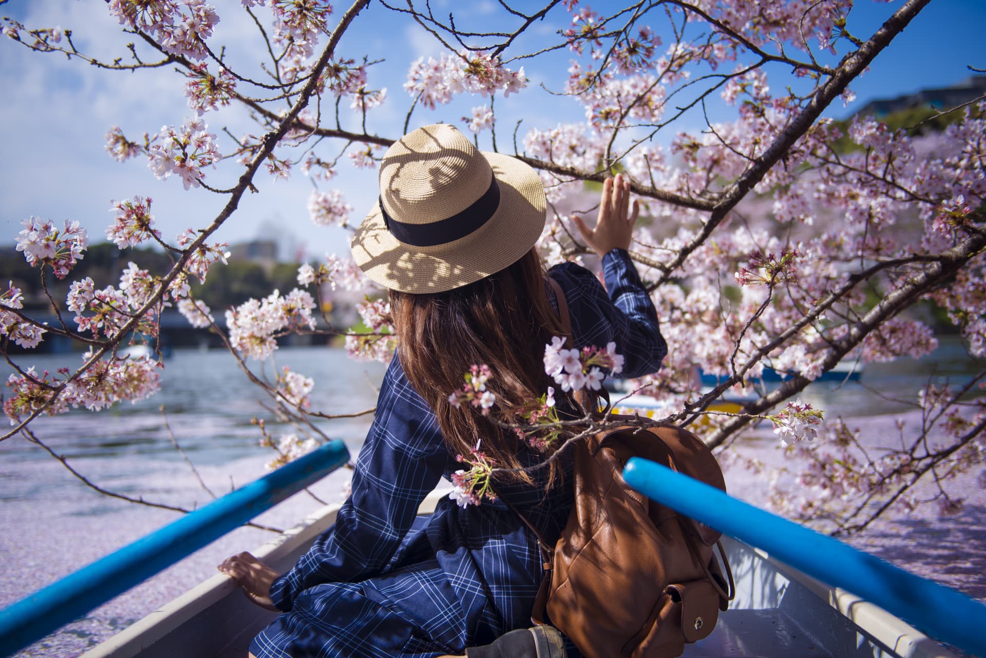 Professional Photo Shoot in Tokyo - main image