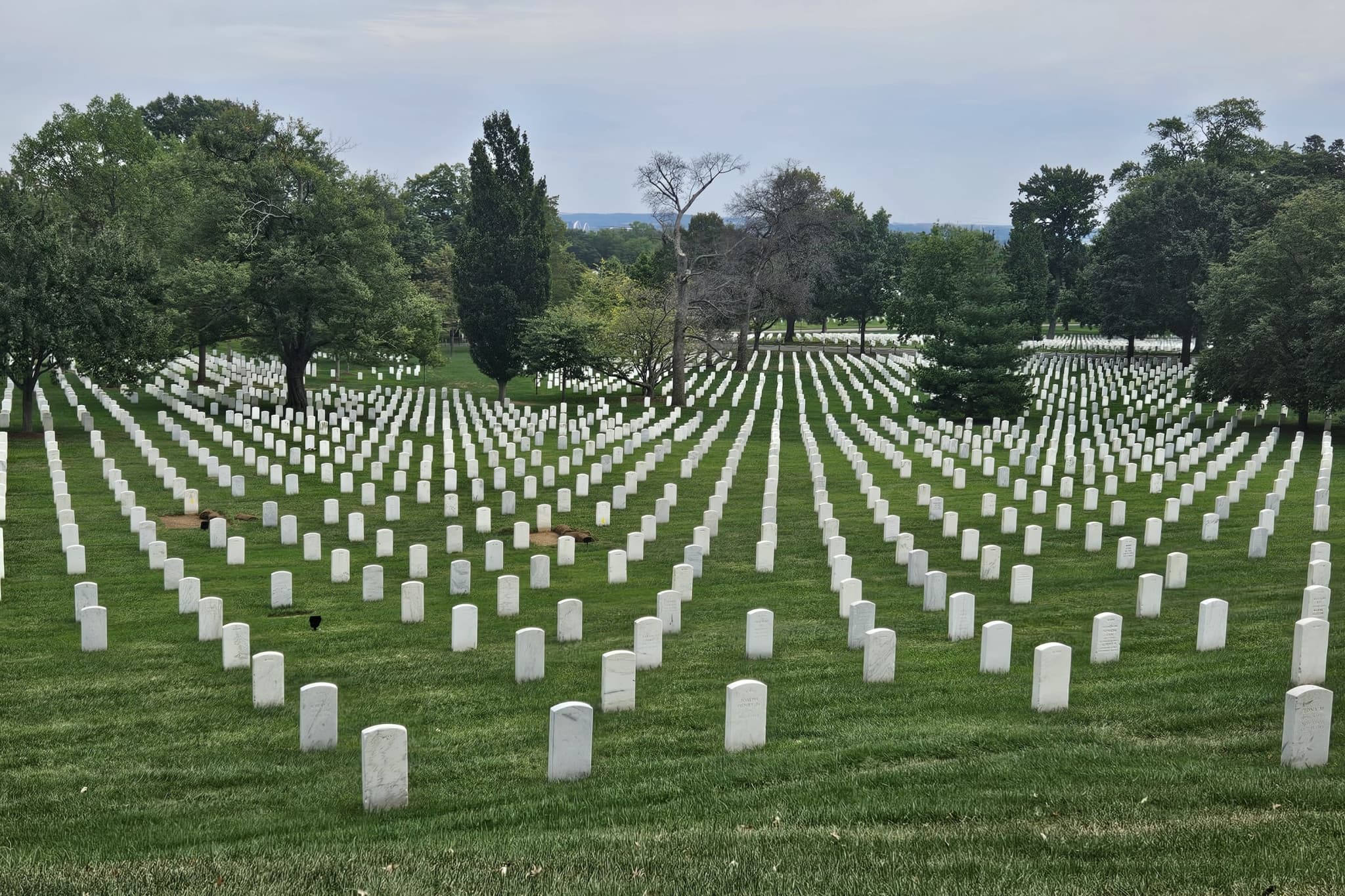 Arlington Cemetery Guided Tour with Changing of the Guard - image 3