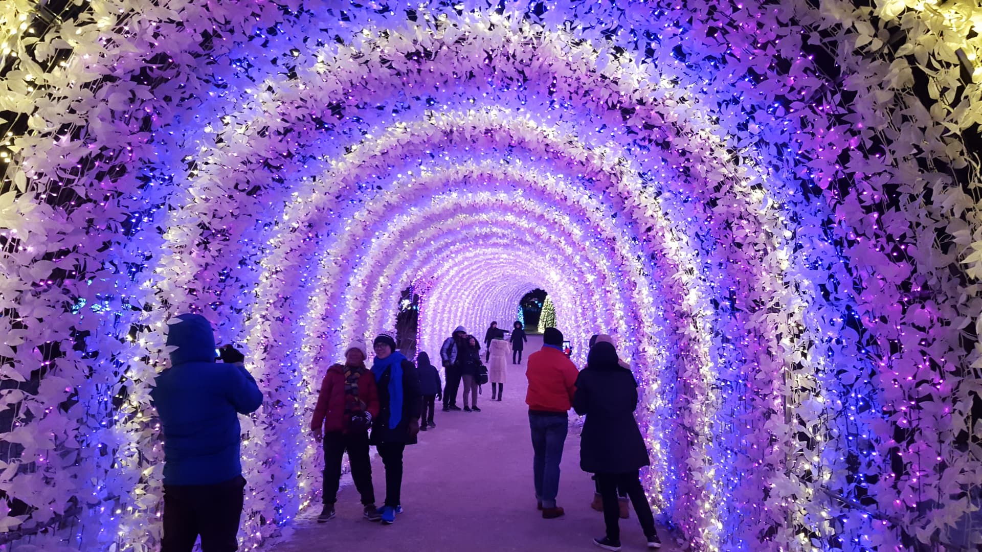 Nami Island, Mount Seorak, and Garden of Morning Calm Full-Day Tour from Seoul - image 12