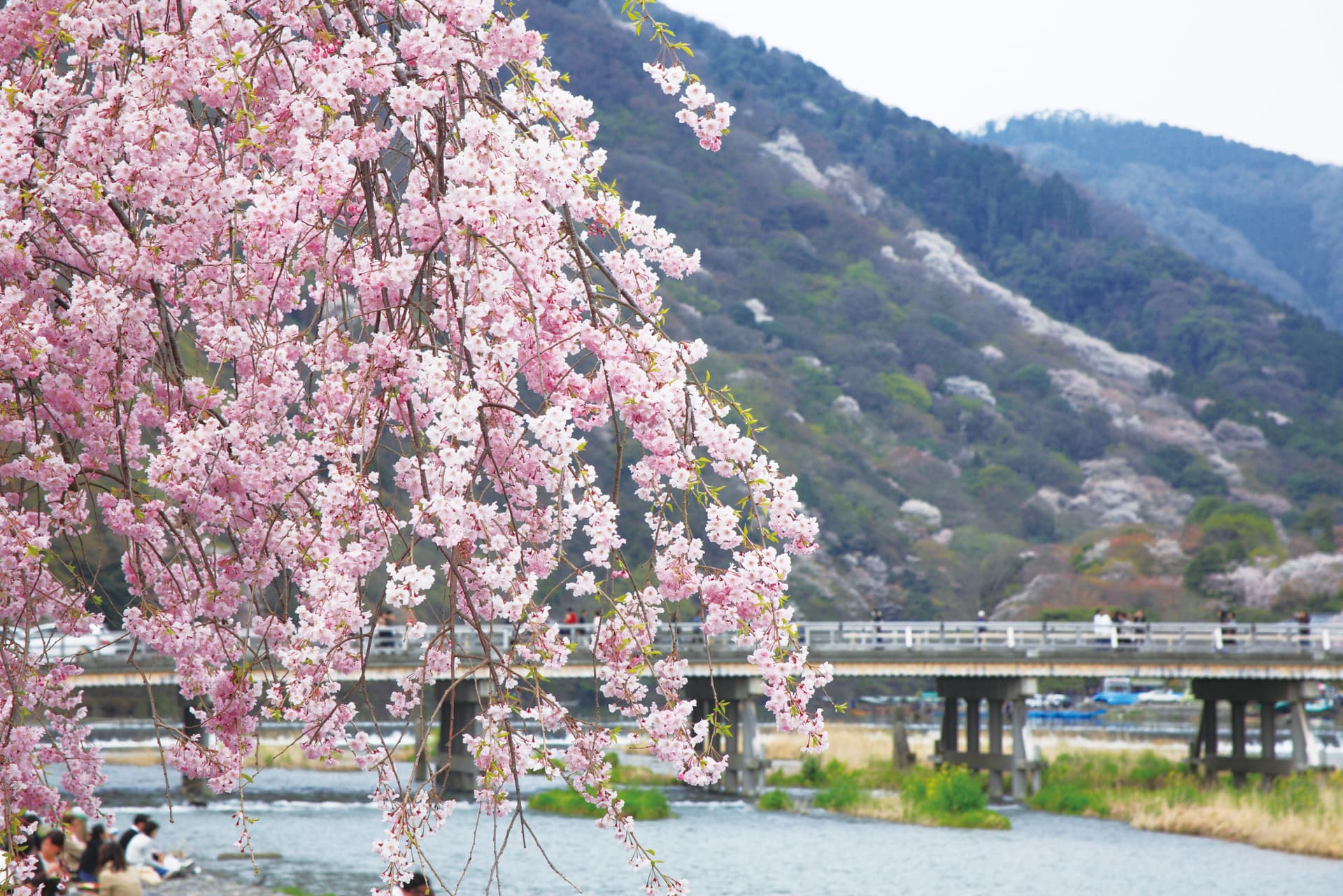 Hankyu One-Day Pass - imagen 2