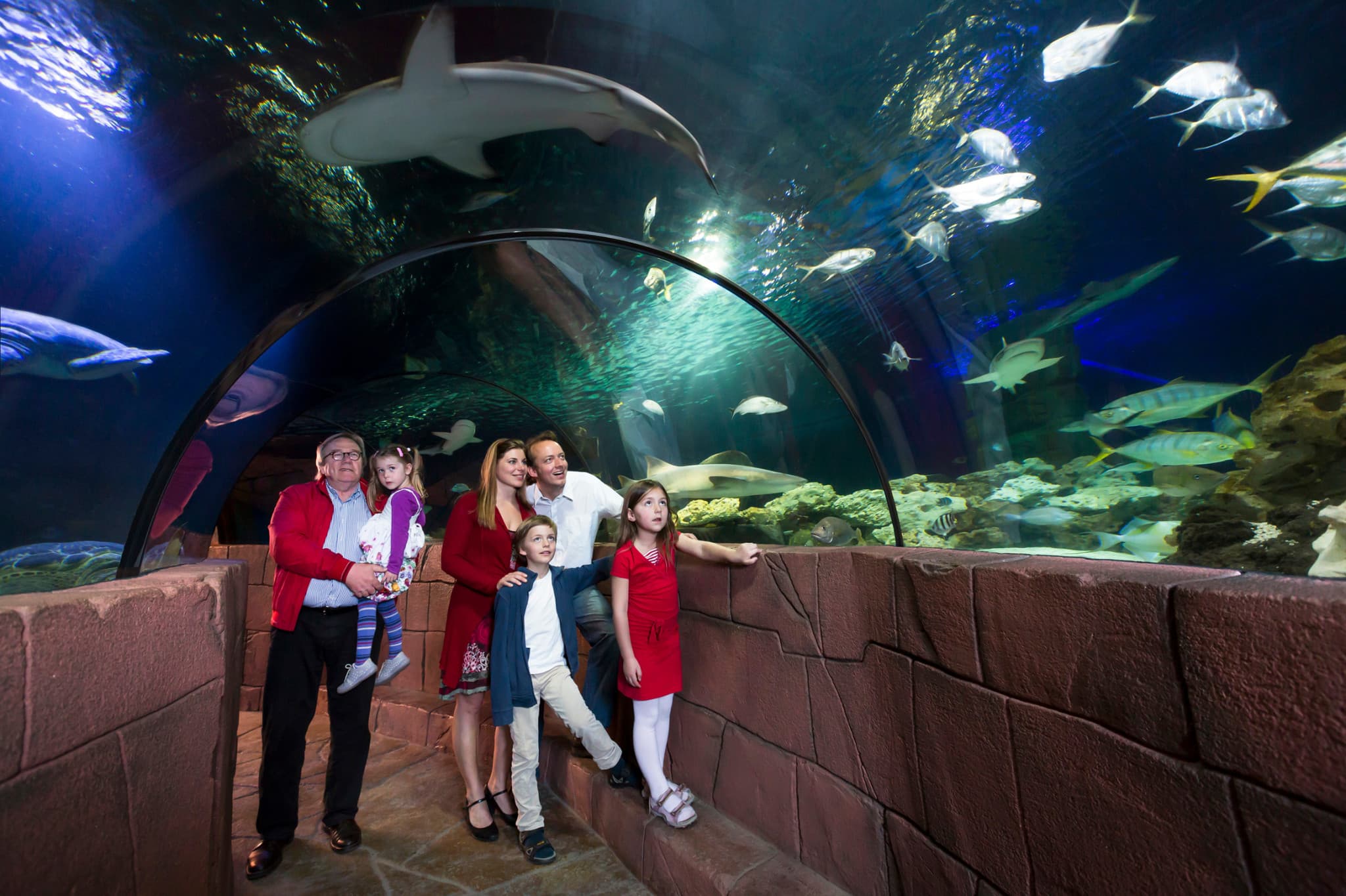 SEA LIFE Hannover Aquarium Ticket - main image