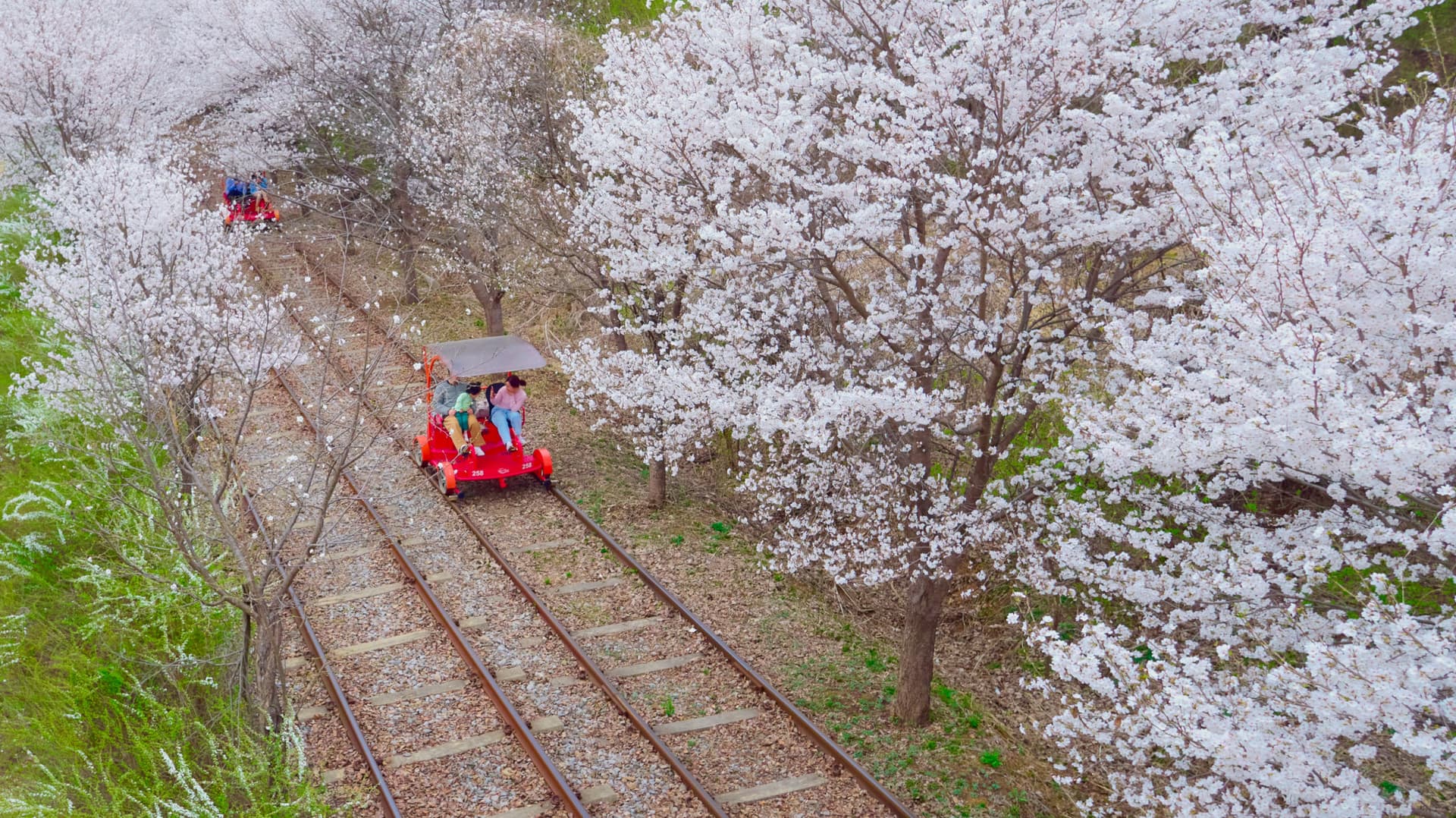 Nami Island, Mount Seorak, and Garden of Morning Calm Full-Day Tour from Seoul - image 24
