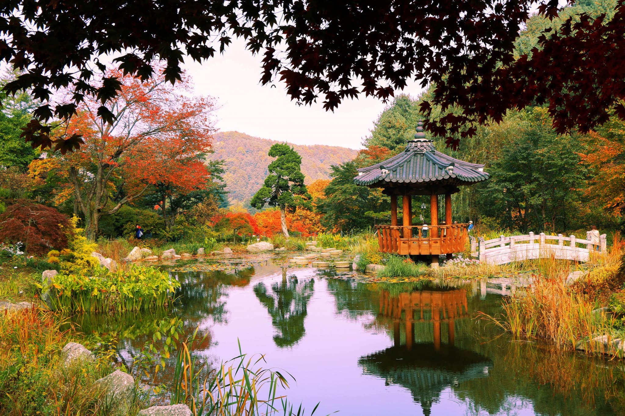 Nami Island, Petite France, Garden of Morning Calm, and Gangchon Rail Bike Tour from Seoul - image 3