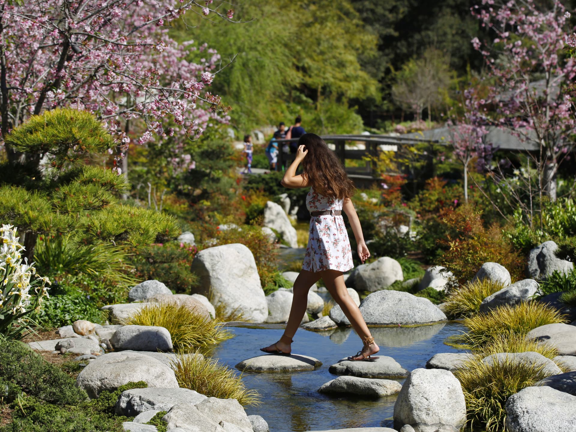Go City San Diego Explorer Pass: Save up to 50% on Attractions - image 7