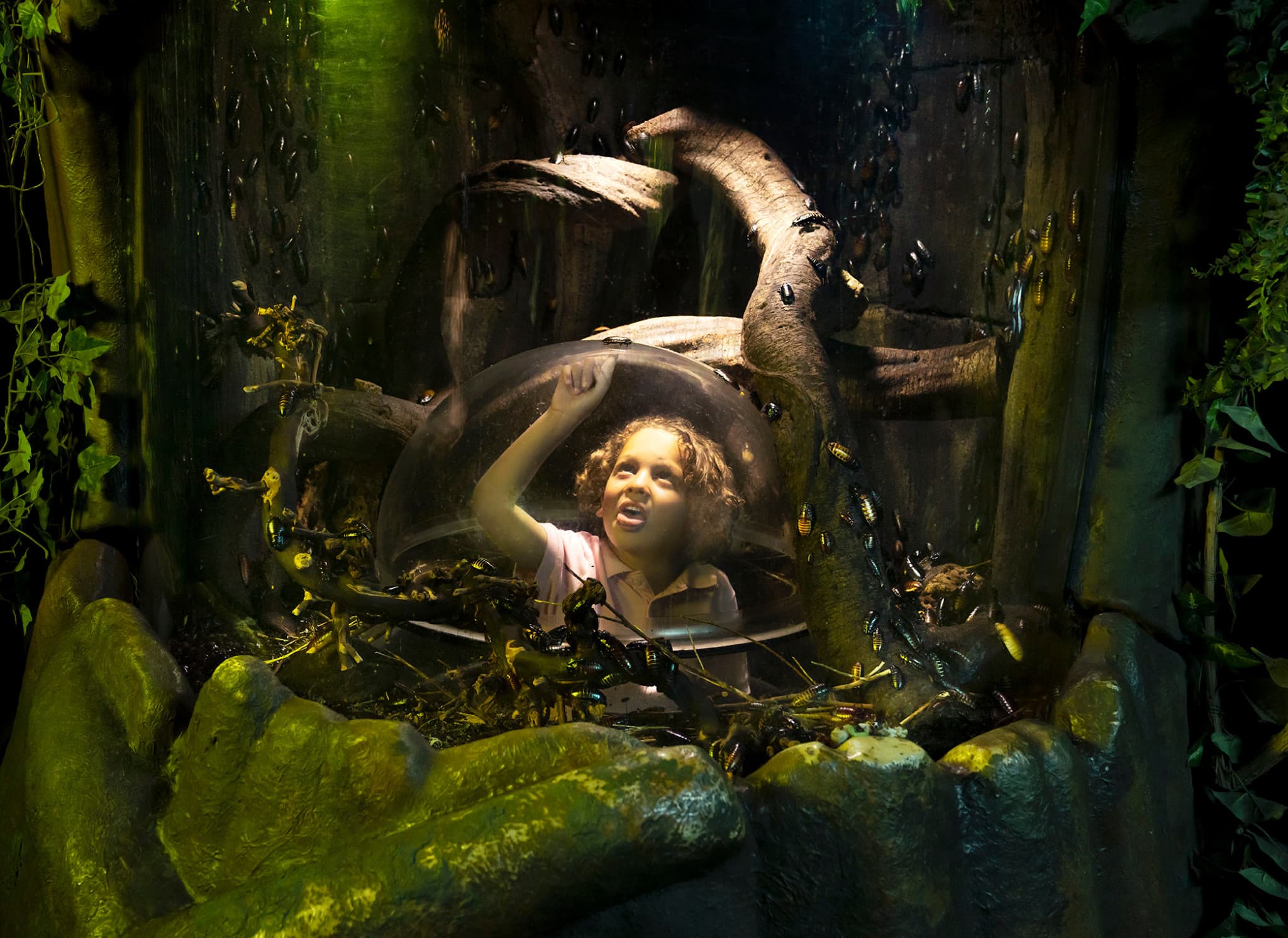 SEA LIFE London Aquarium Ticket - image 14