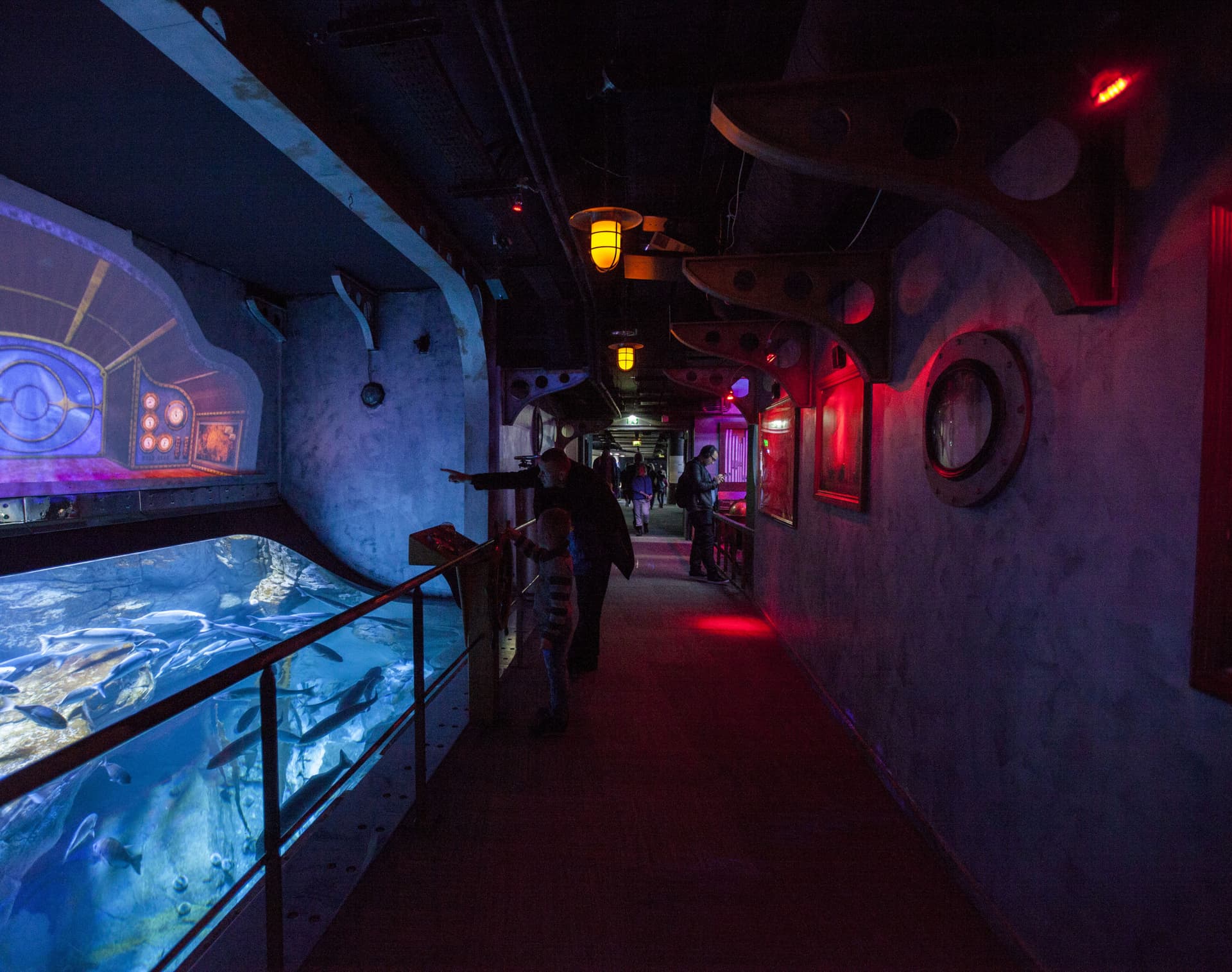 Aquarium de Paris - image 4