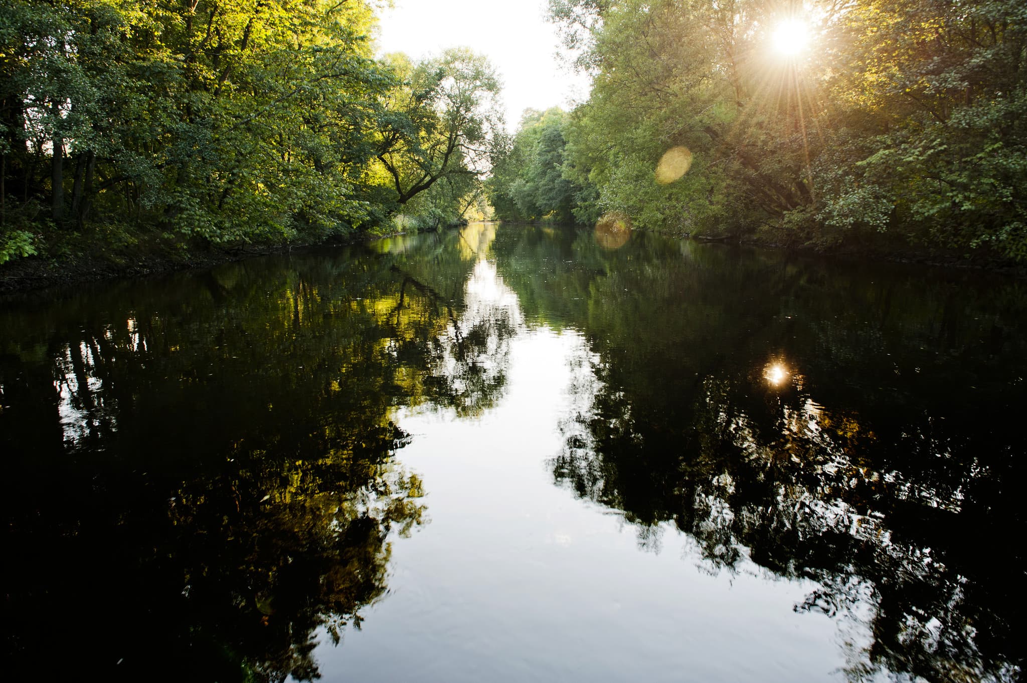Go City Gothenburg Essentials Pass: 3 Attractions - image 9