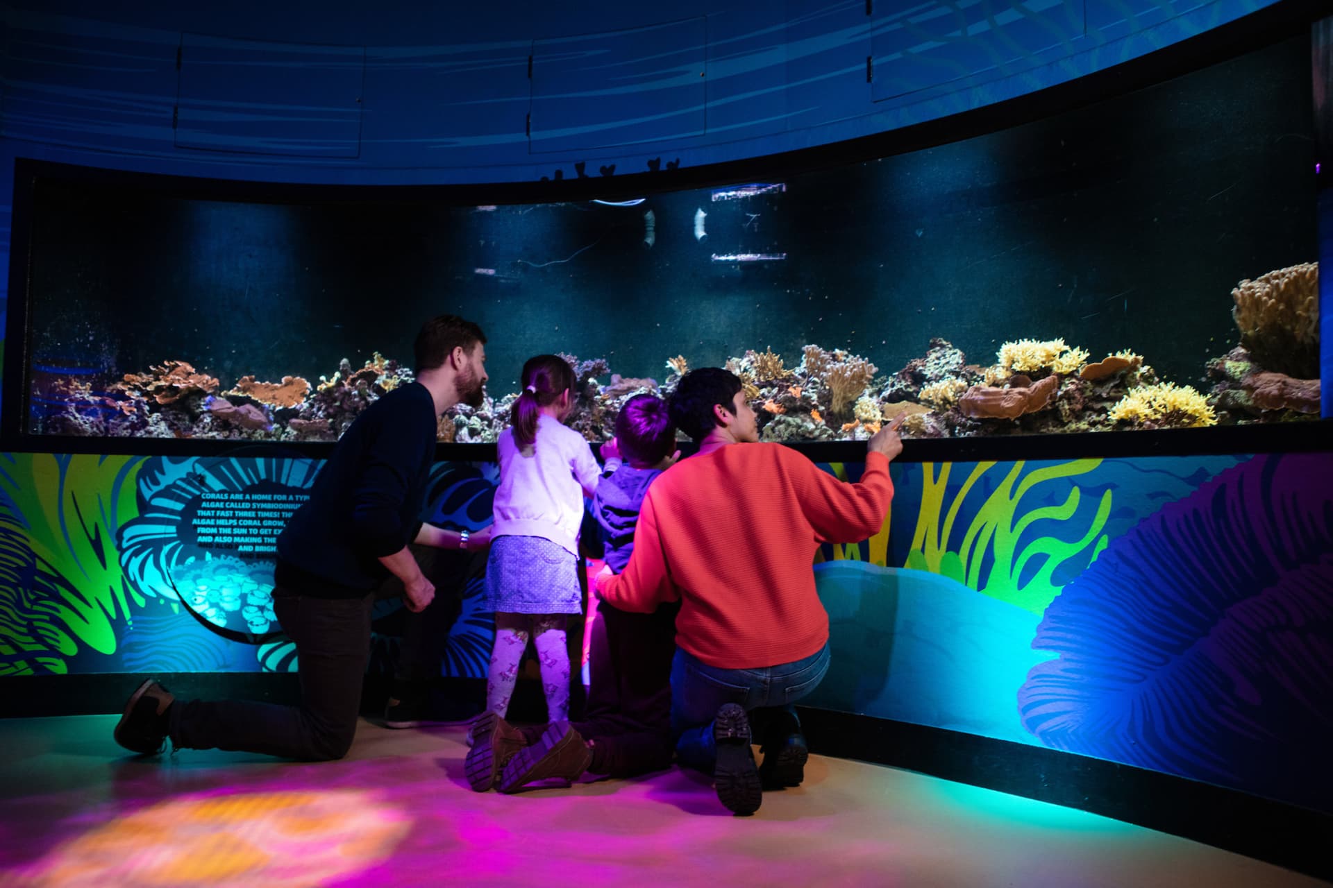 COMBO: London Eye + SEA LIFE London Aquarium Ticket - image 11