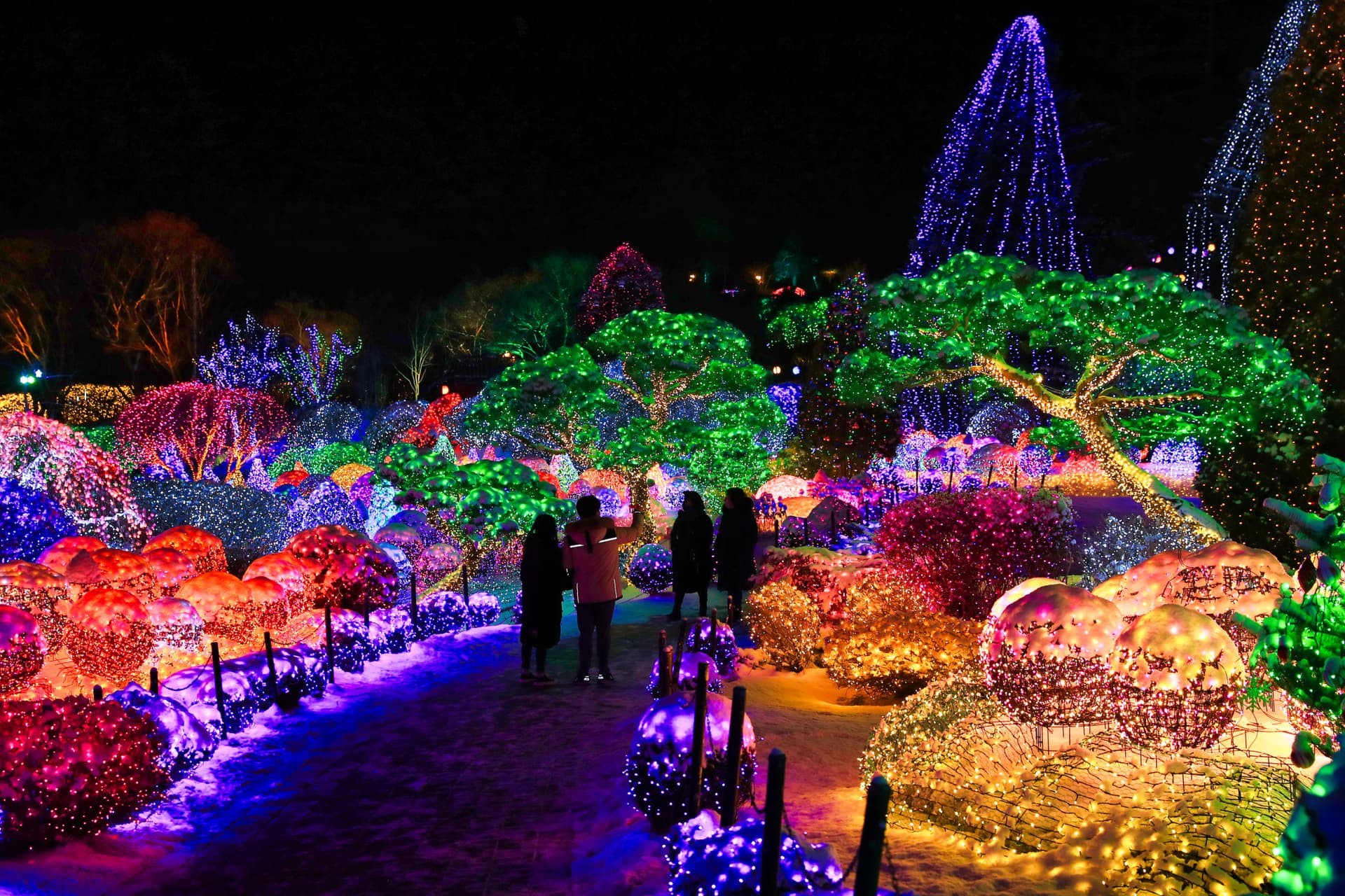 Nami Island, Mount Seorak, and Garden of Morning Calm Full-Day Tour from Seoul - image 16