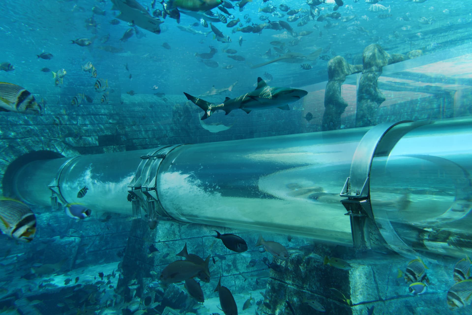 COMBO: IMG Worlds of Adventure with FREE Dubai Frame and Lost World Aquarium - image 9