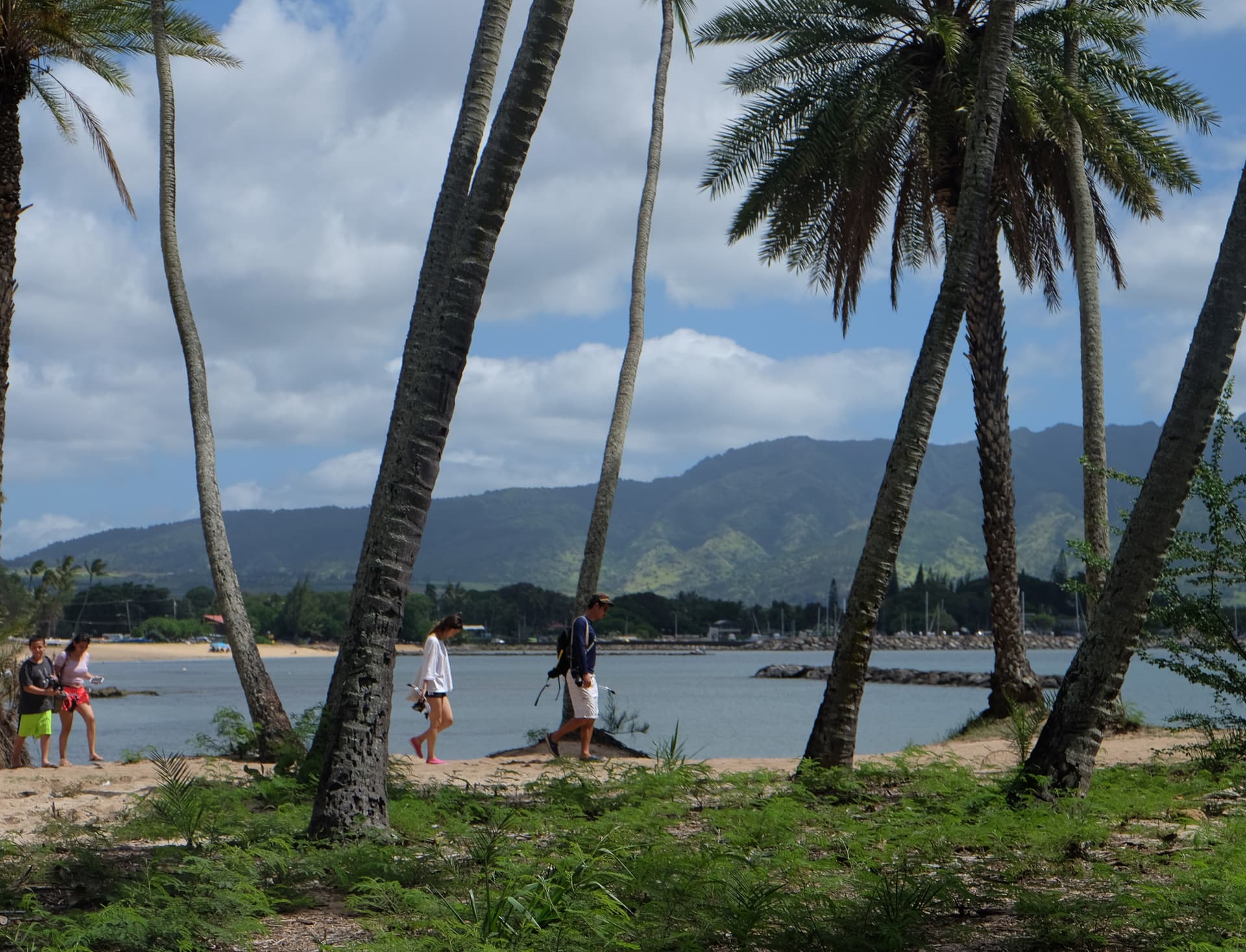 Go City Oahu All-Inclusive Pass: Save up to 50% on Attractions - image 47