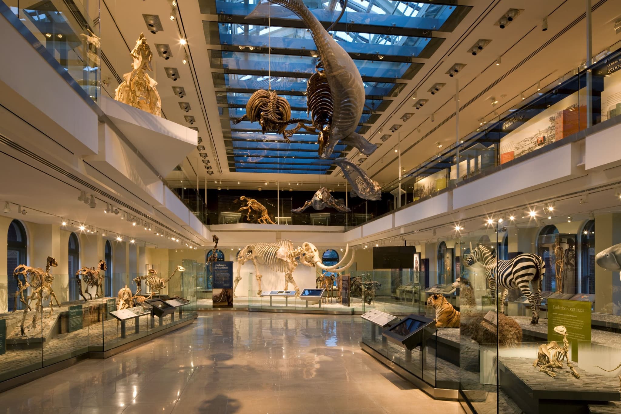 Go City Las Vegas Explorer Pass: Save up to 50% on Attractions - image 7