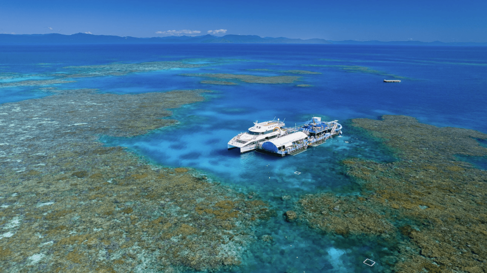 Great Barrier Reef Pontoon Full-Day Tour at Moore Reef - image 2