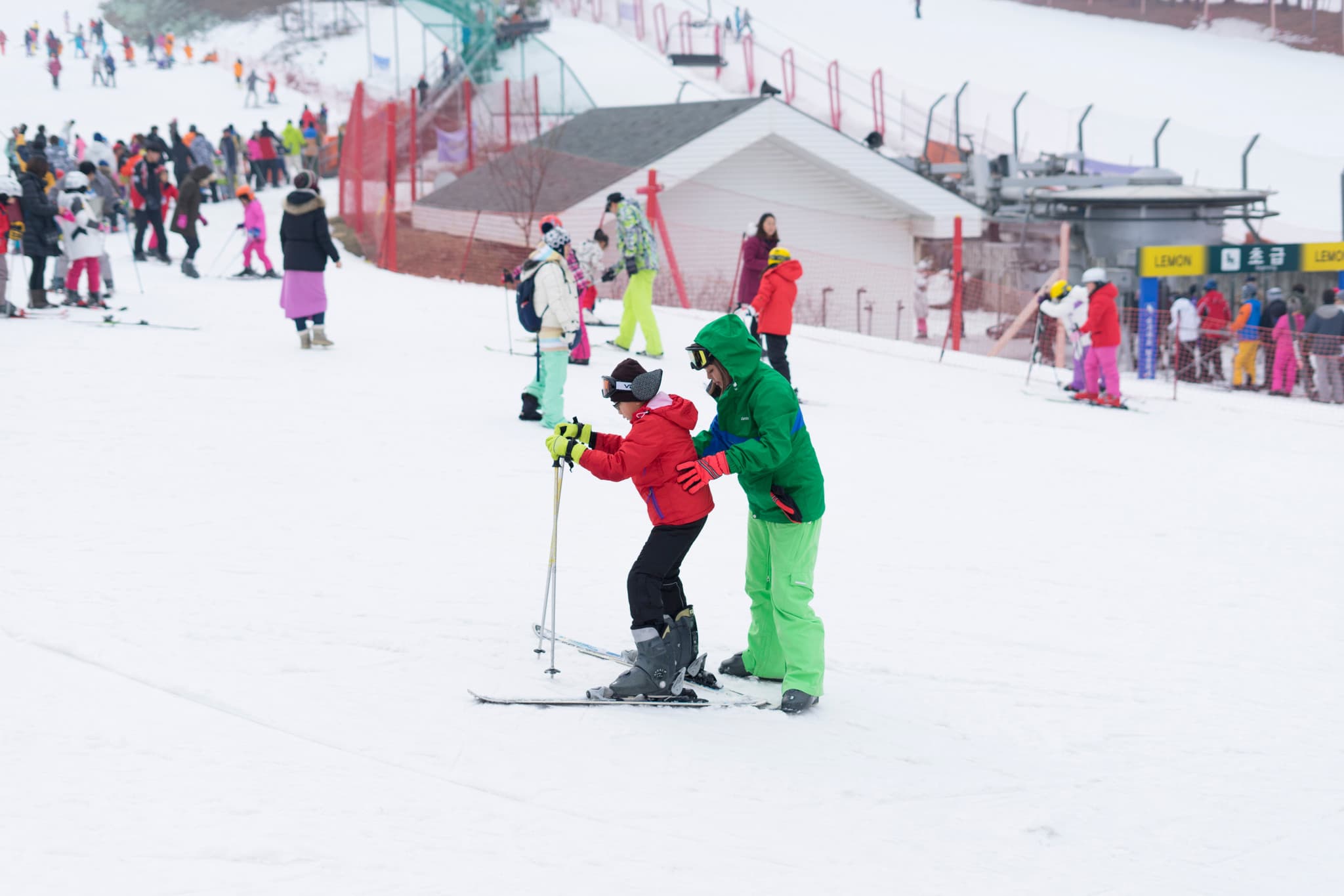 Jisan Forest Ski Resort Full-Day Tour from Seoul - image 3