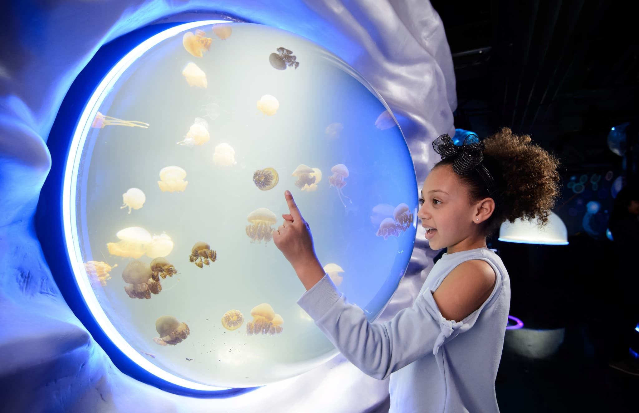 SEA LIFE London Aquarium Ticket - image 7
