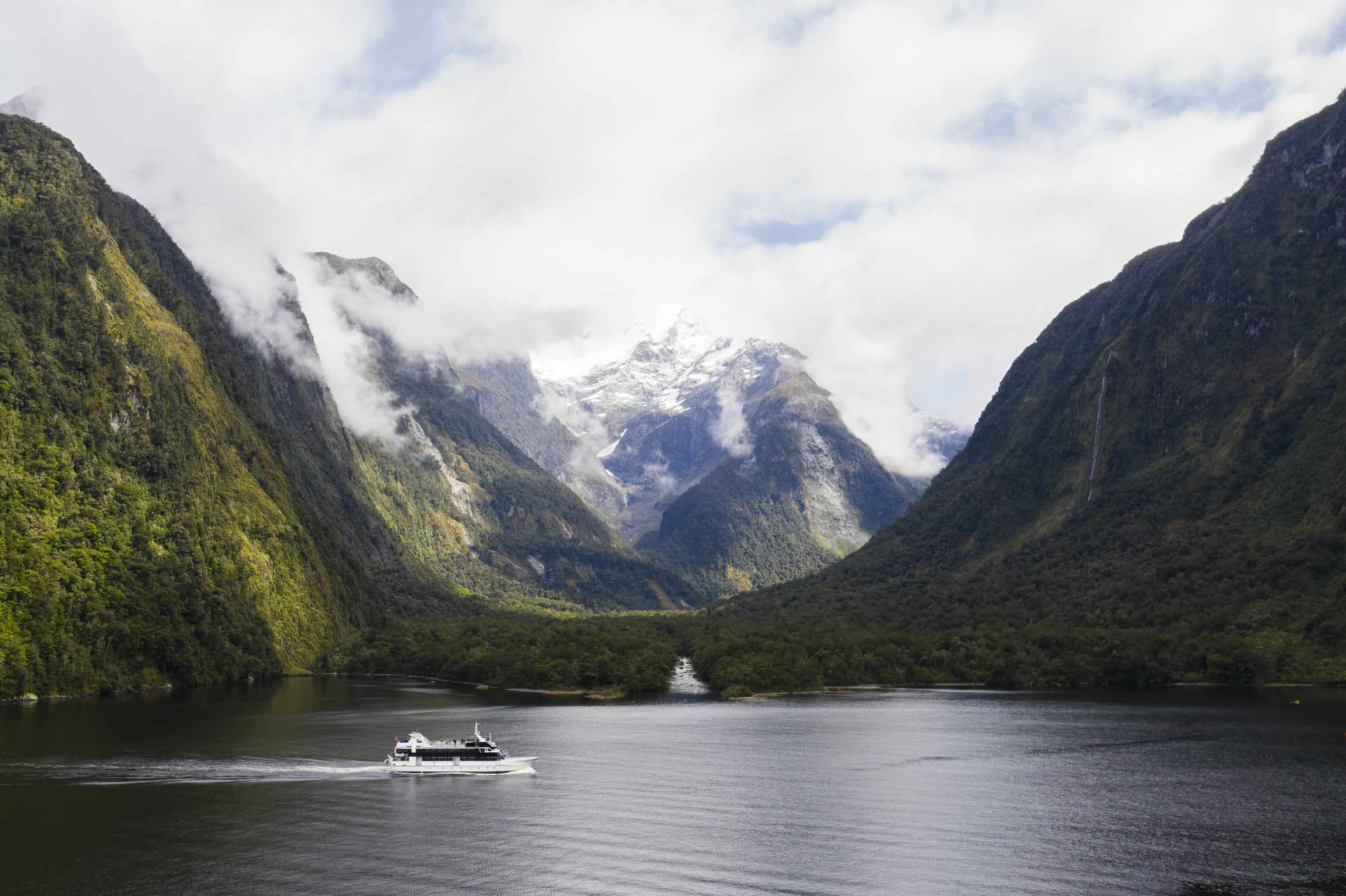 Excursión en autobús y crucero por Milford Sound desde Queenstown - imagen 3